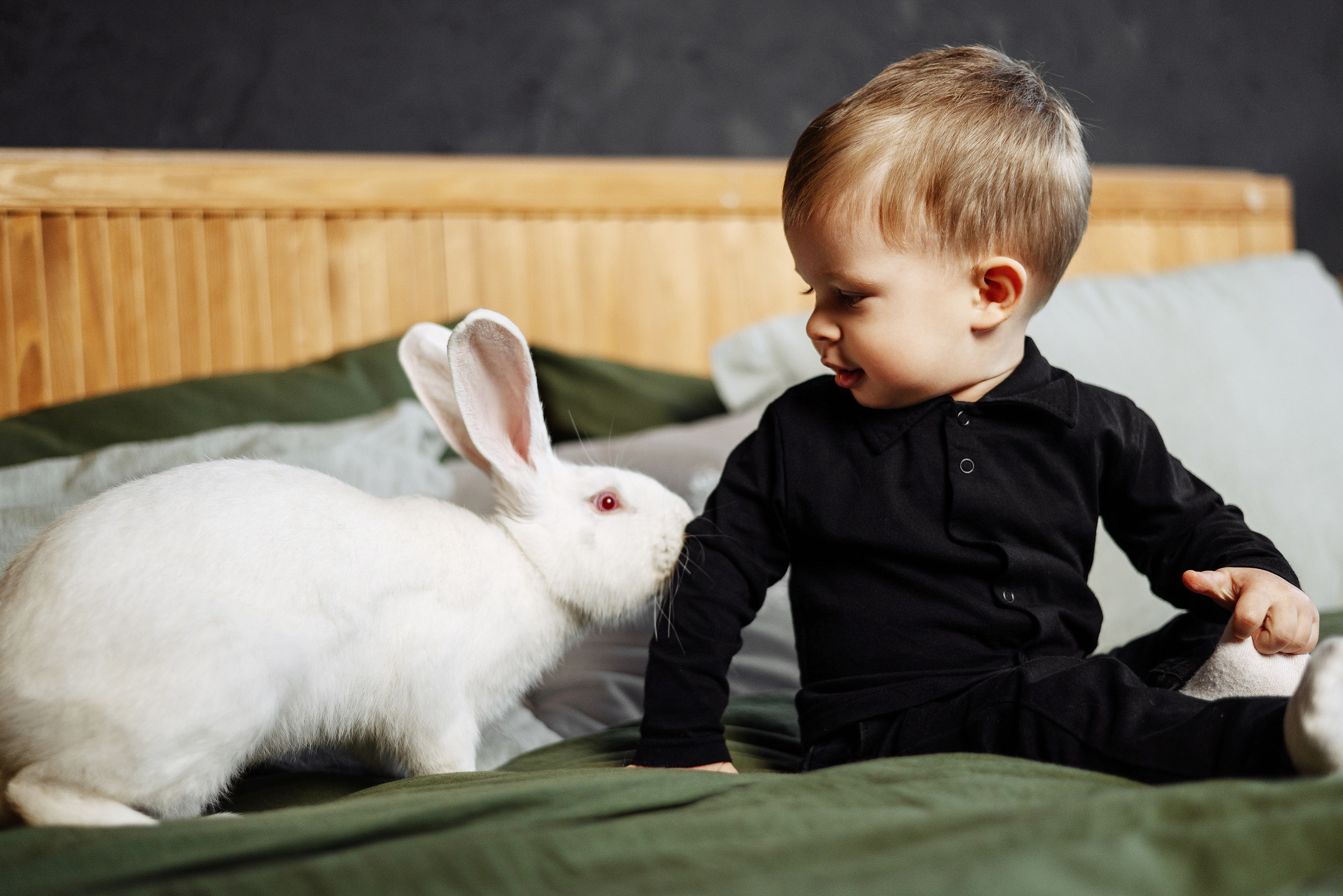 Графит. Фотостудия Молоко в Минске