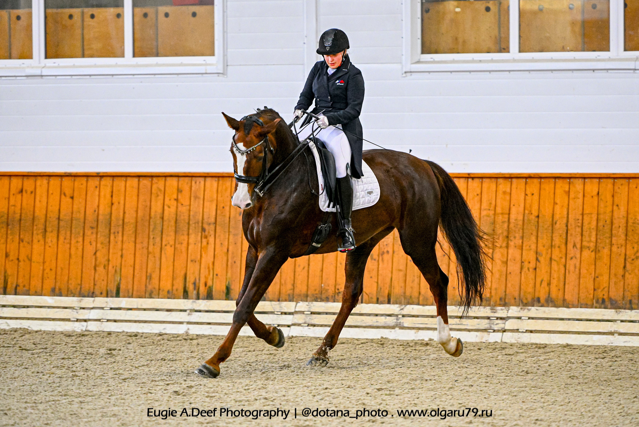 2025.10.19 — КСК Конкорд — выездка. ТУРНИРНАЯ КОННАЯ ФОТОГРАФИЯ, Руднева Ольга и Евгений Адеев