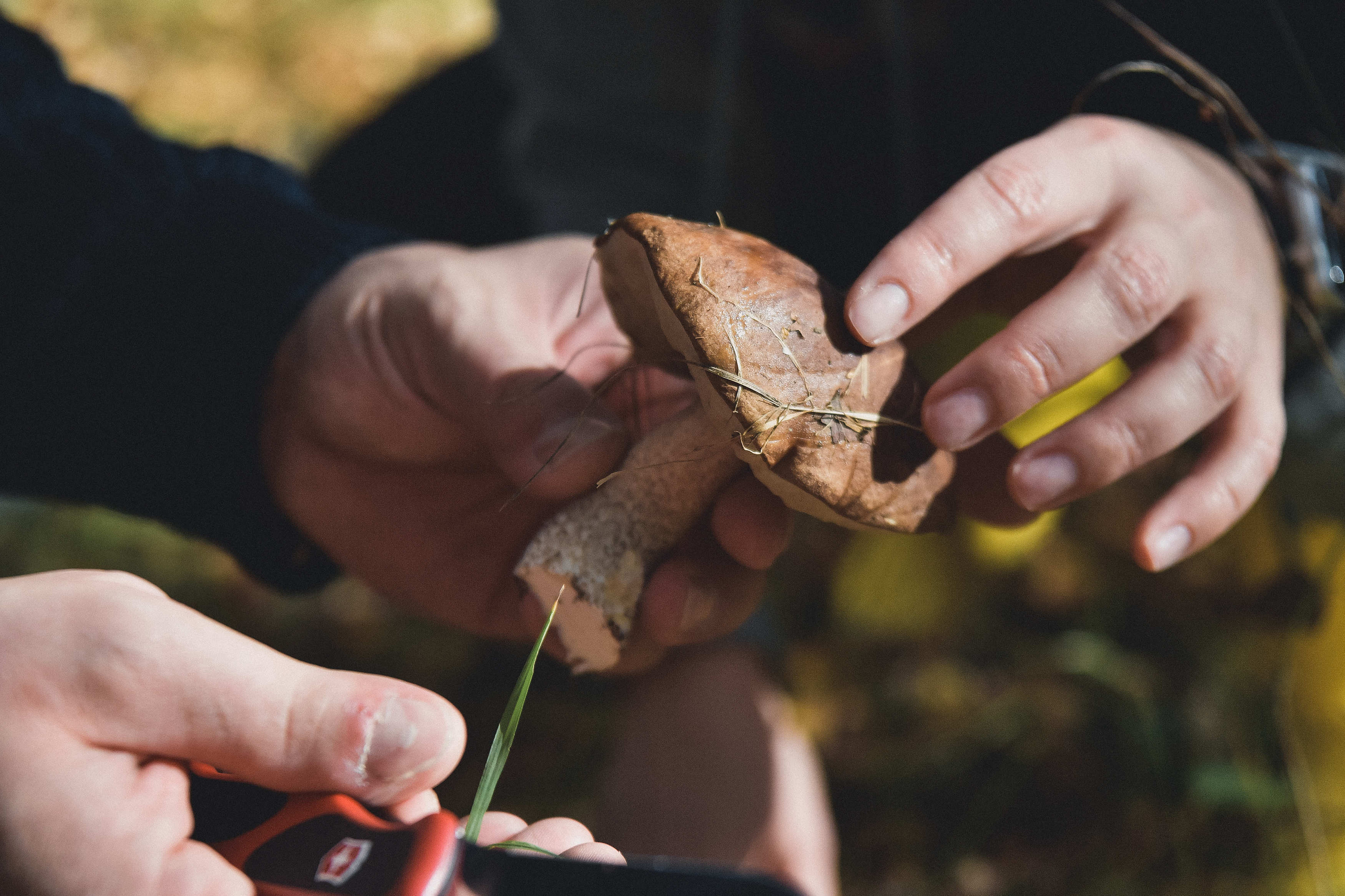 Григорьев. Репортажный фотограф в Москве Березуцкий Клим