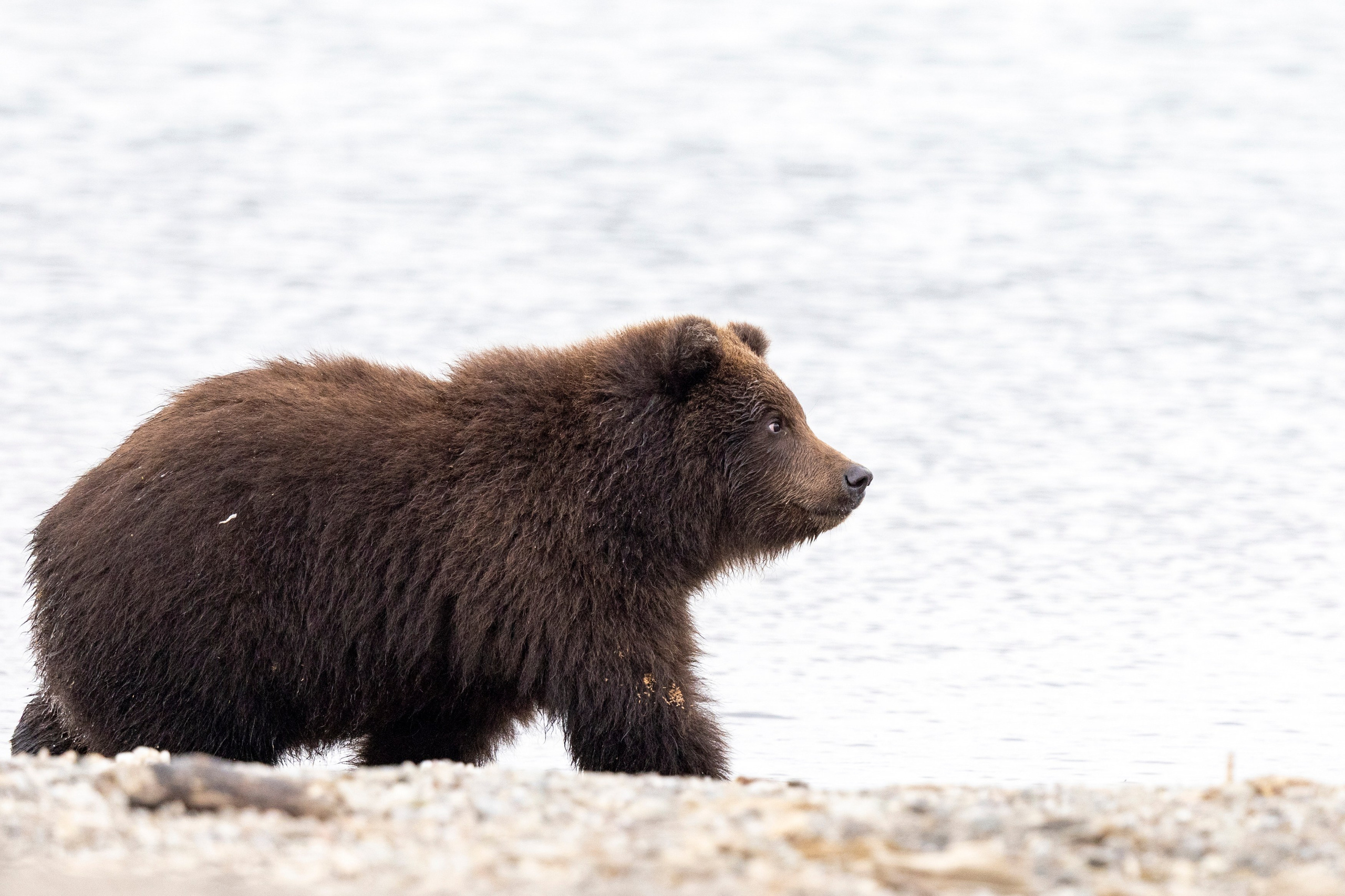 Блог Время Камчатки — истории, советы, маршруты. Время Камчатки: чтобы найти свой путь, нужно скорость умножить на время