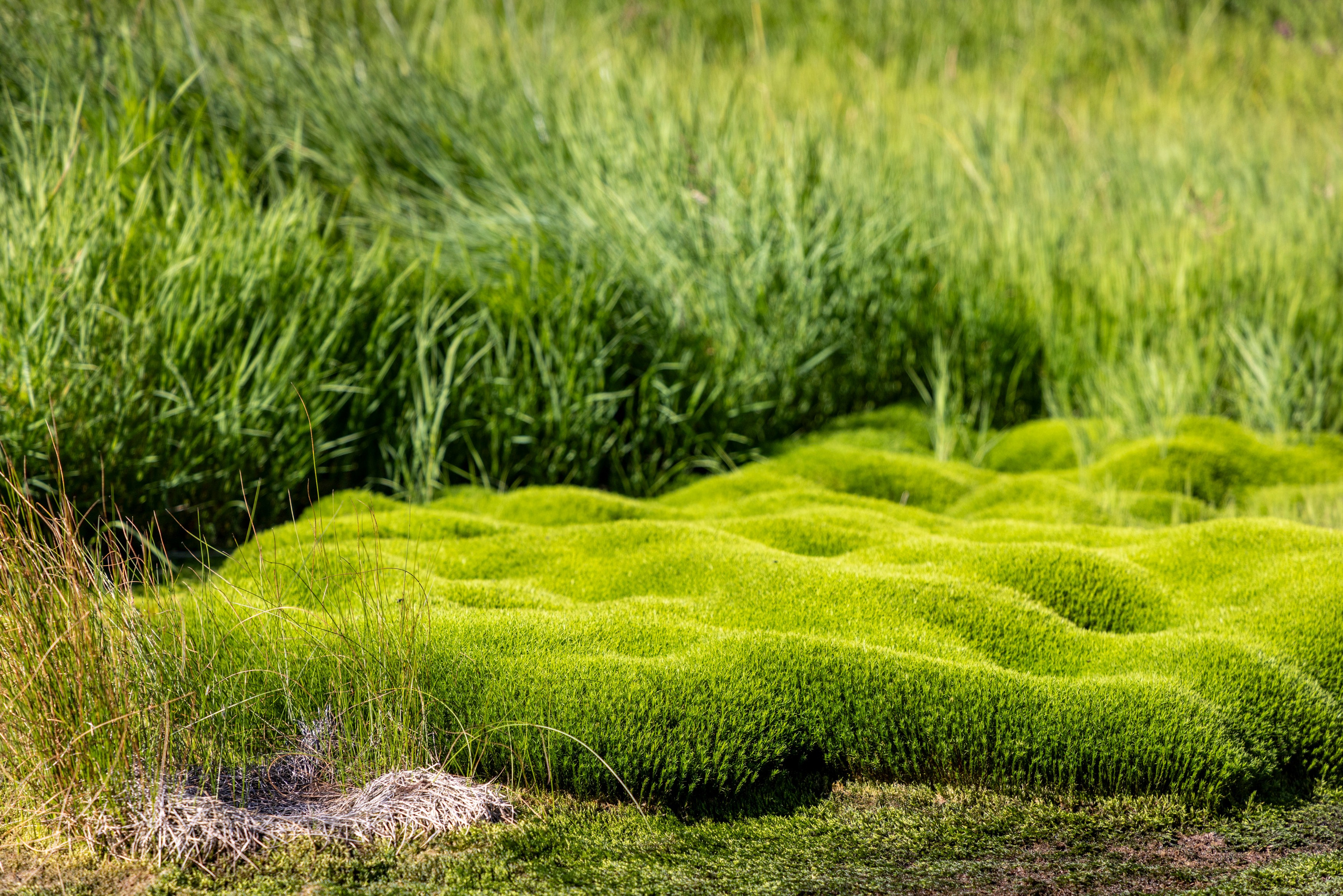 Каньон Опасный — редкое природное чудо Камчатки. Время Камчатки: чтобы найти свой путь, нужно скорость умножить на время
