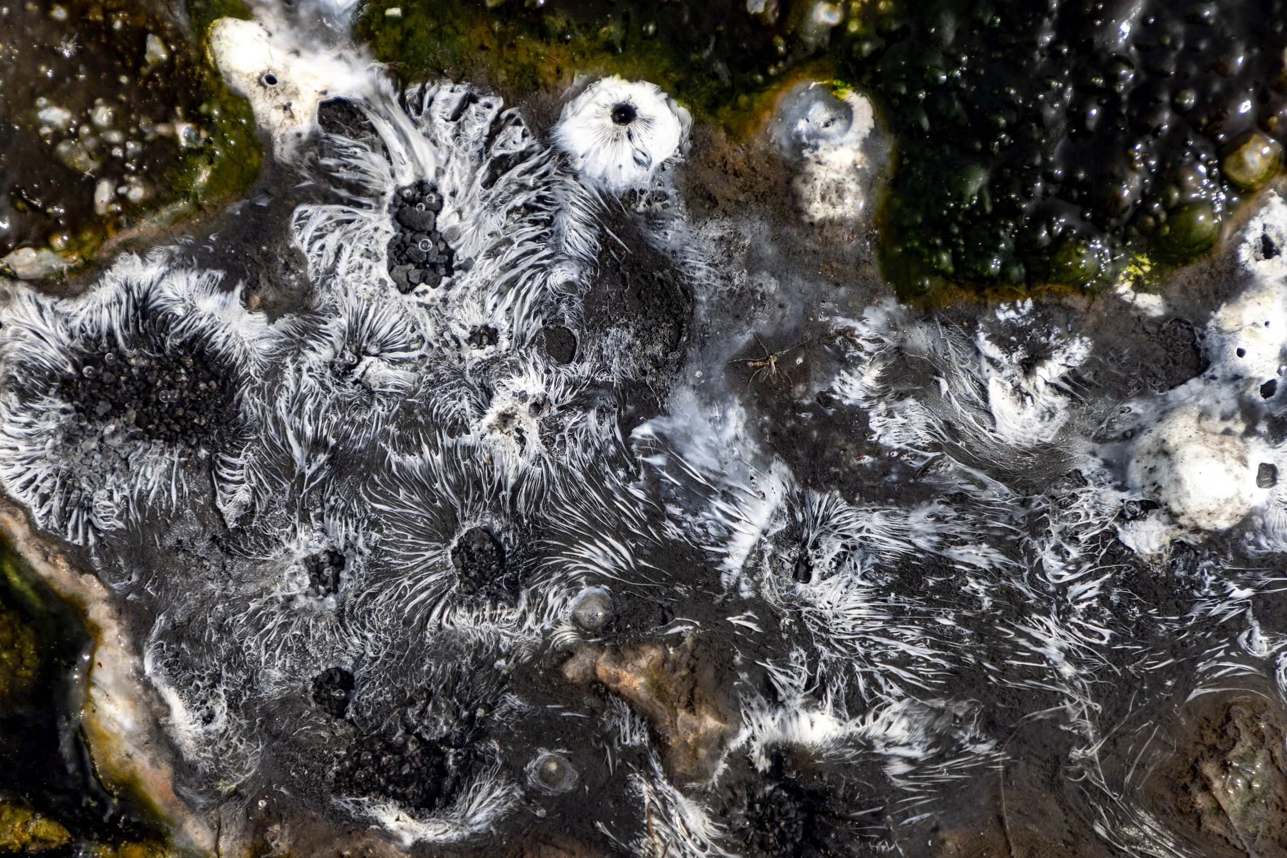 Дачные горячие источники — то, как зарождалась Земля. Время Камчатки: чтобы найти свой путь, нужно скорость умножить на время