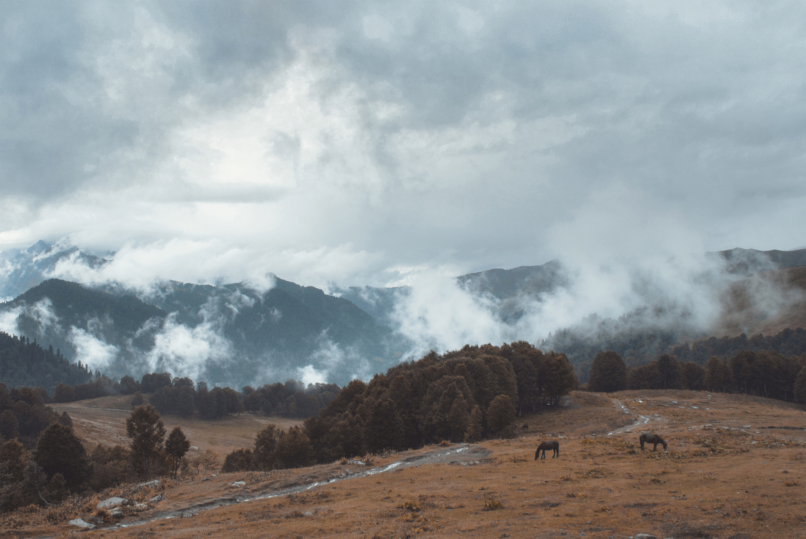 Путешествия. Фотохудожник Алина Ершова