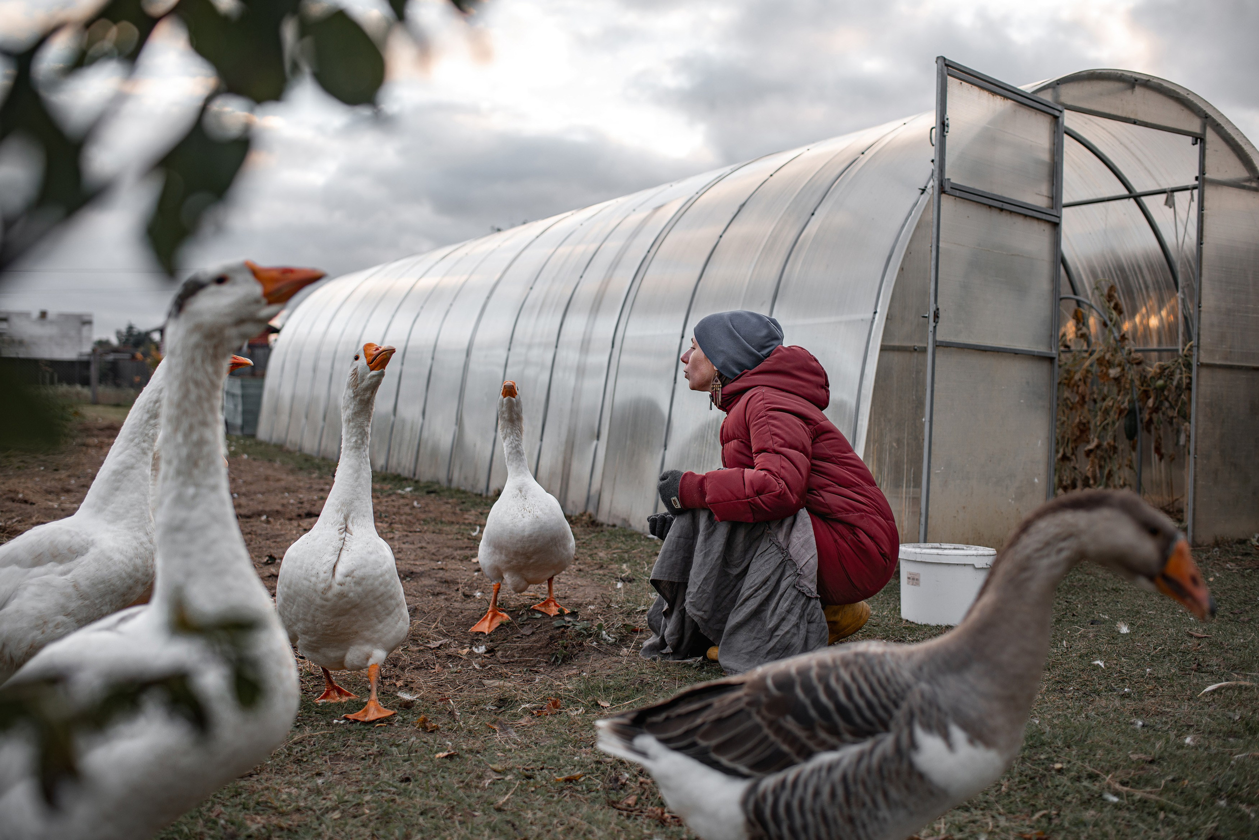 Катерина Архипова. Семейный фотограф Псков. Спб.|Анастасия Войналович