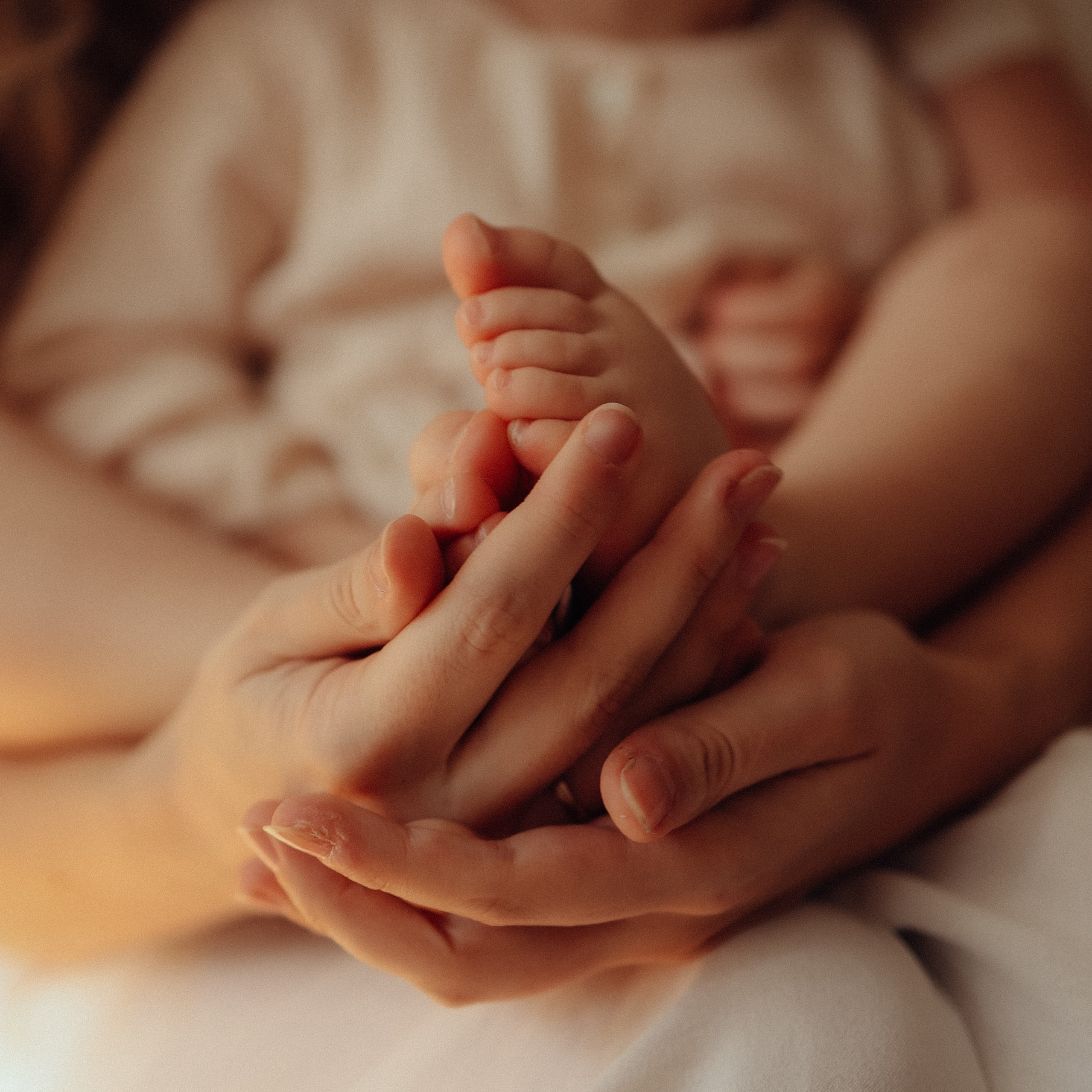 Онлайн мастер-класс по домашней съемке. Фотограф и видеограф Елена Лисина