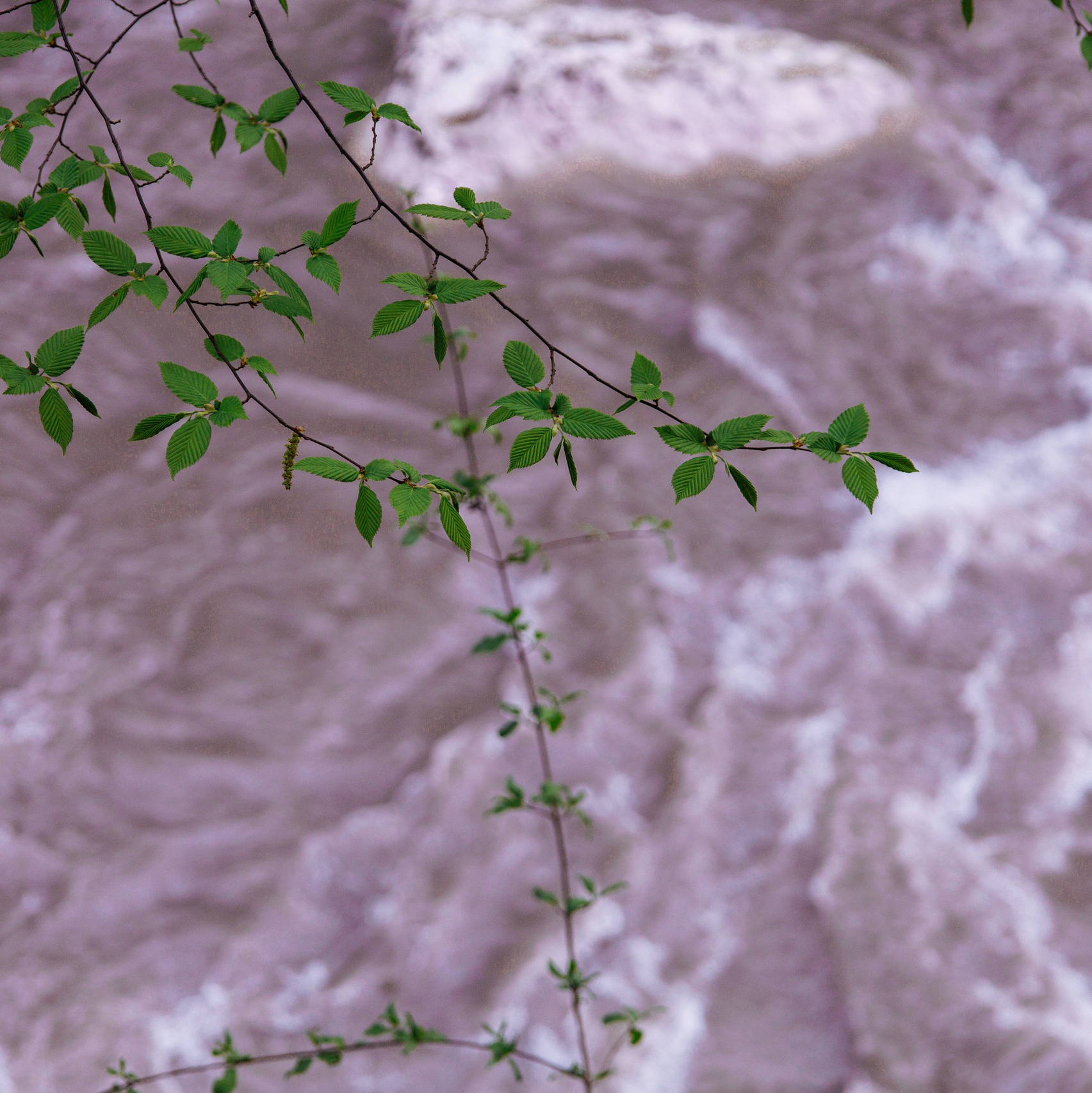 Обо мне. Фотограф katya_vkadre Таганрог