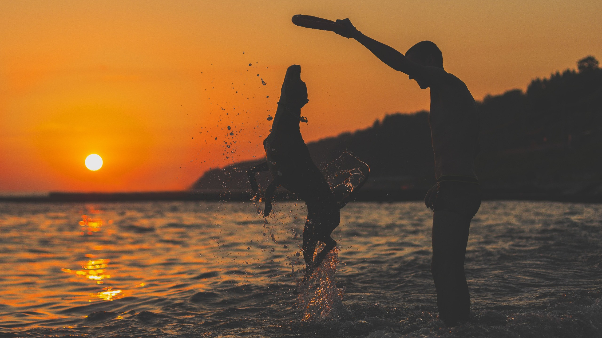 Самые нежные фотографии