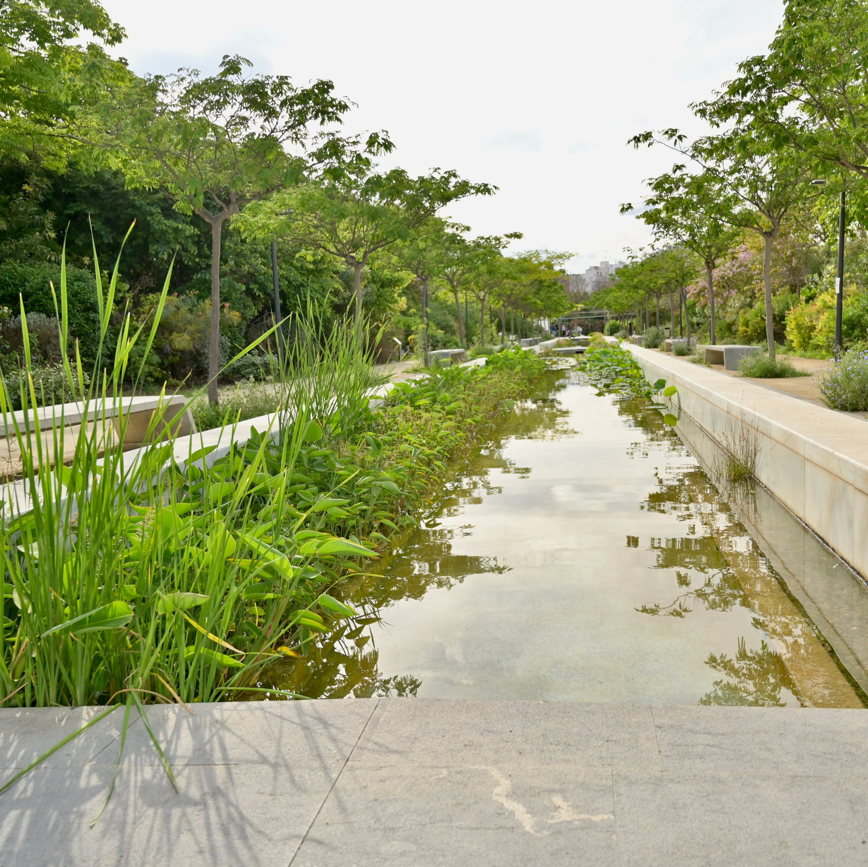 4 красивых парка в Валенсии для прогулки и фотосессии. Гид и фотограф в Валенсии Новиков Михаил