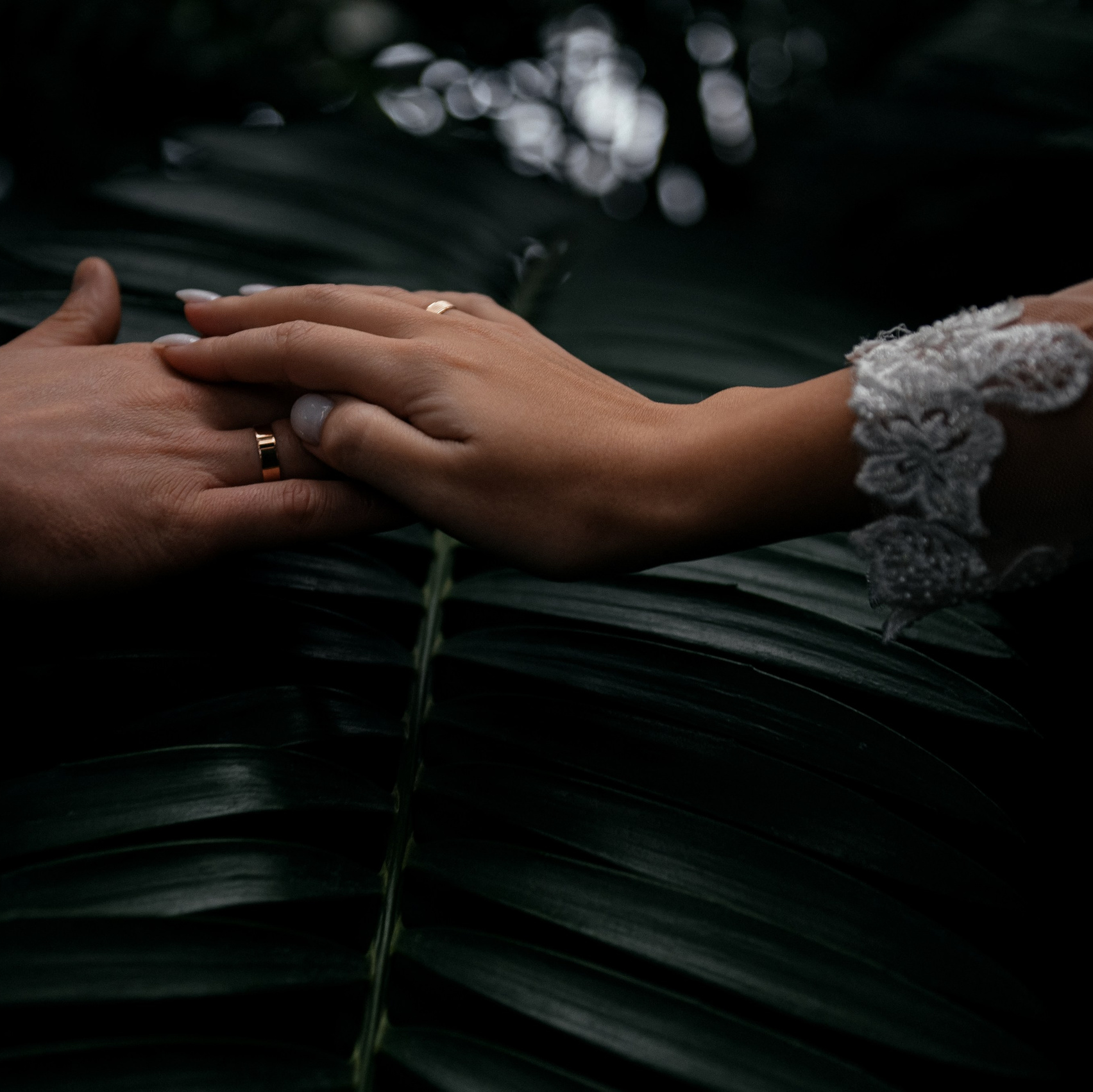 Фотограф Виктория Носачёва.  Стоимость услуг. Свадебный и семейный фотограф Виктория Носачёва. Щелково, Москва и МО