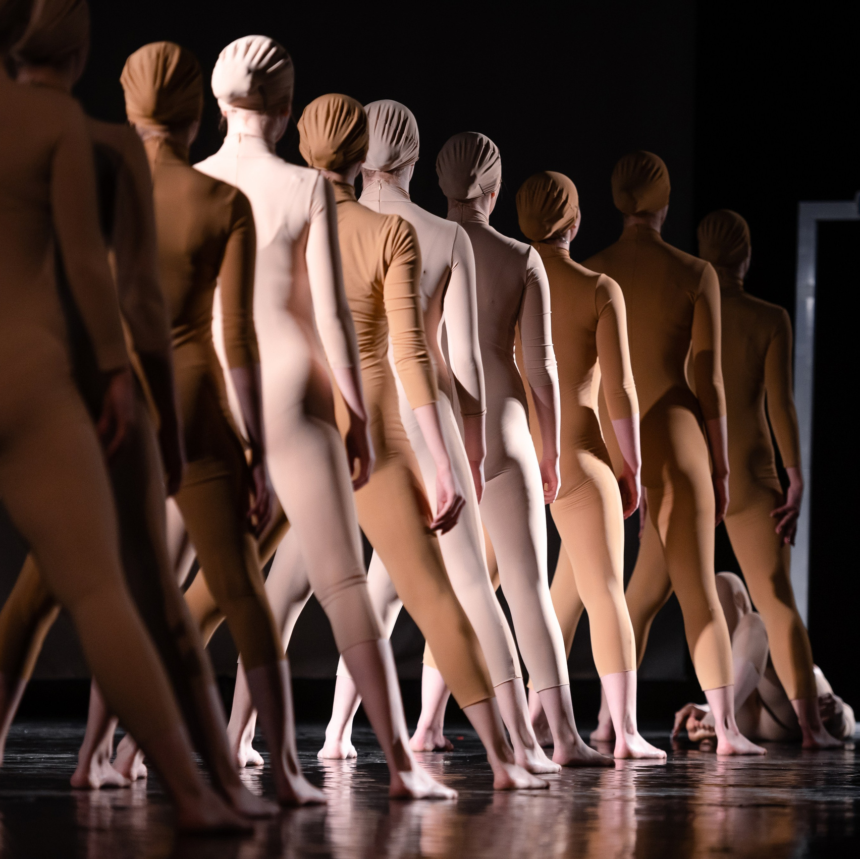 Репортажная съемка концертов Новосибирск