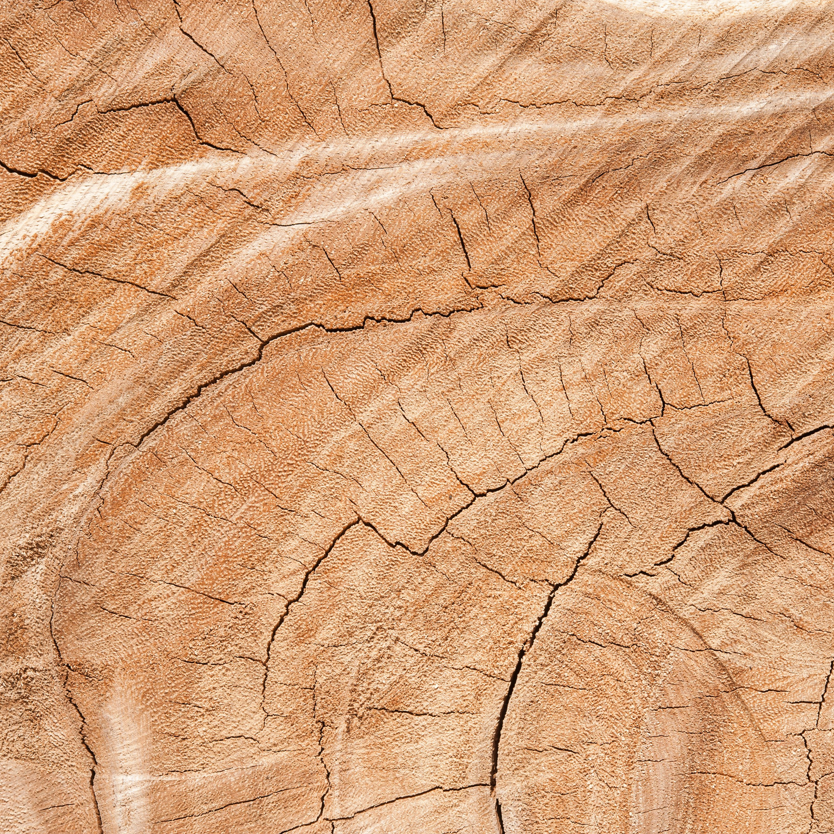 Сотрудничество. Семейный клуб «Свой Дом»