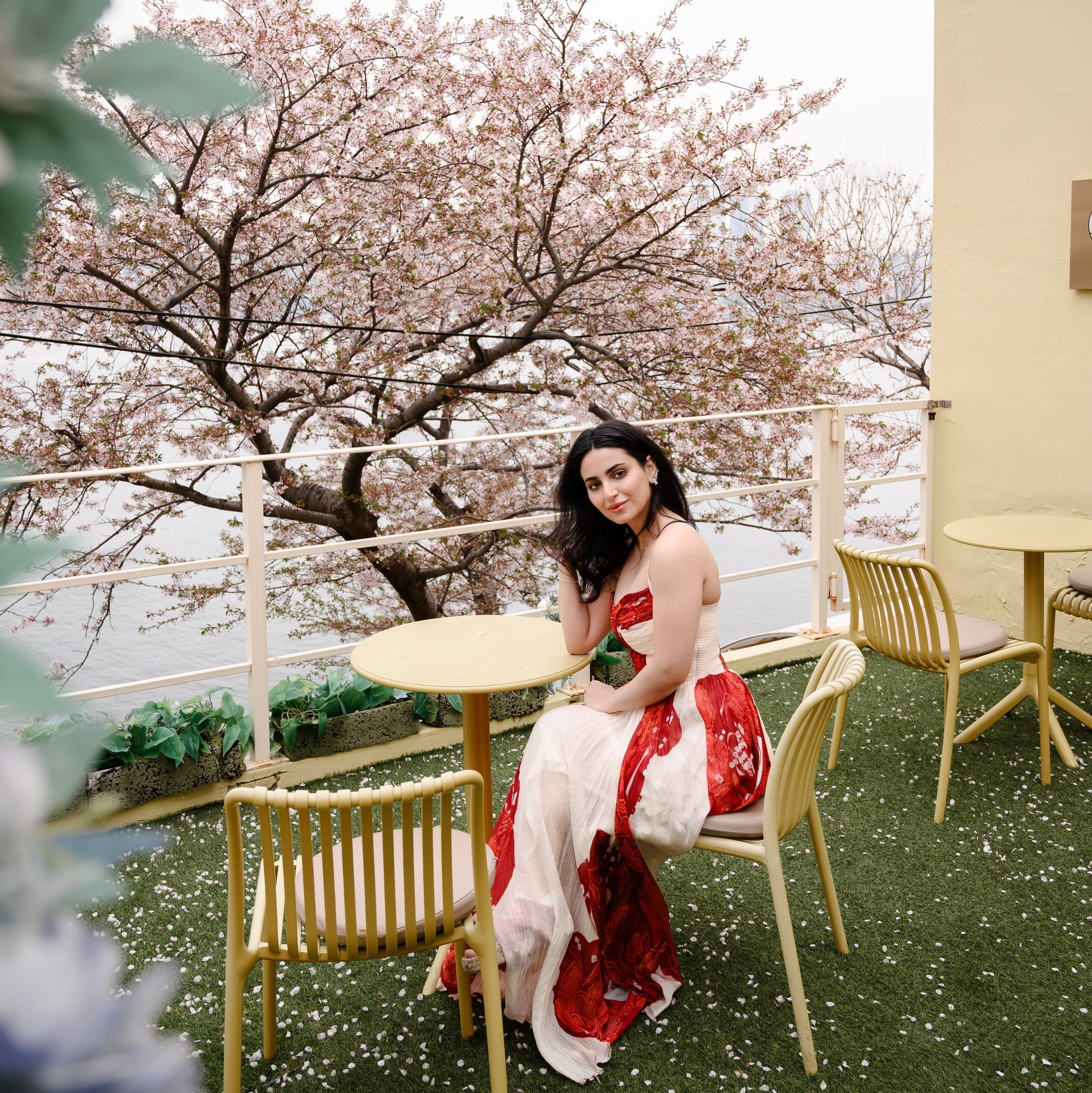 釜山で韓服を着た桜フォトセッション