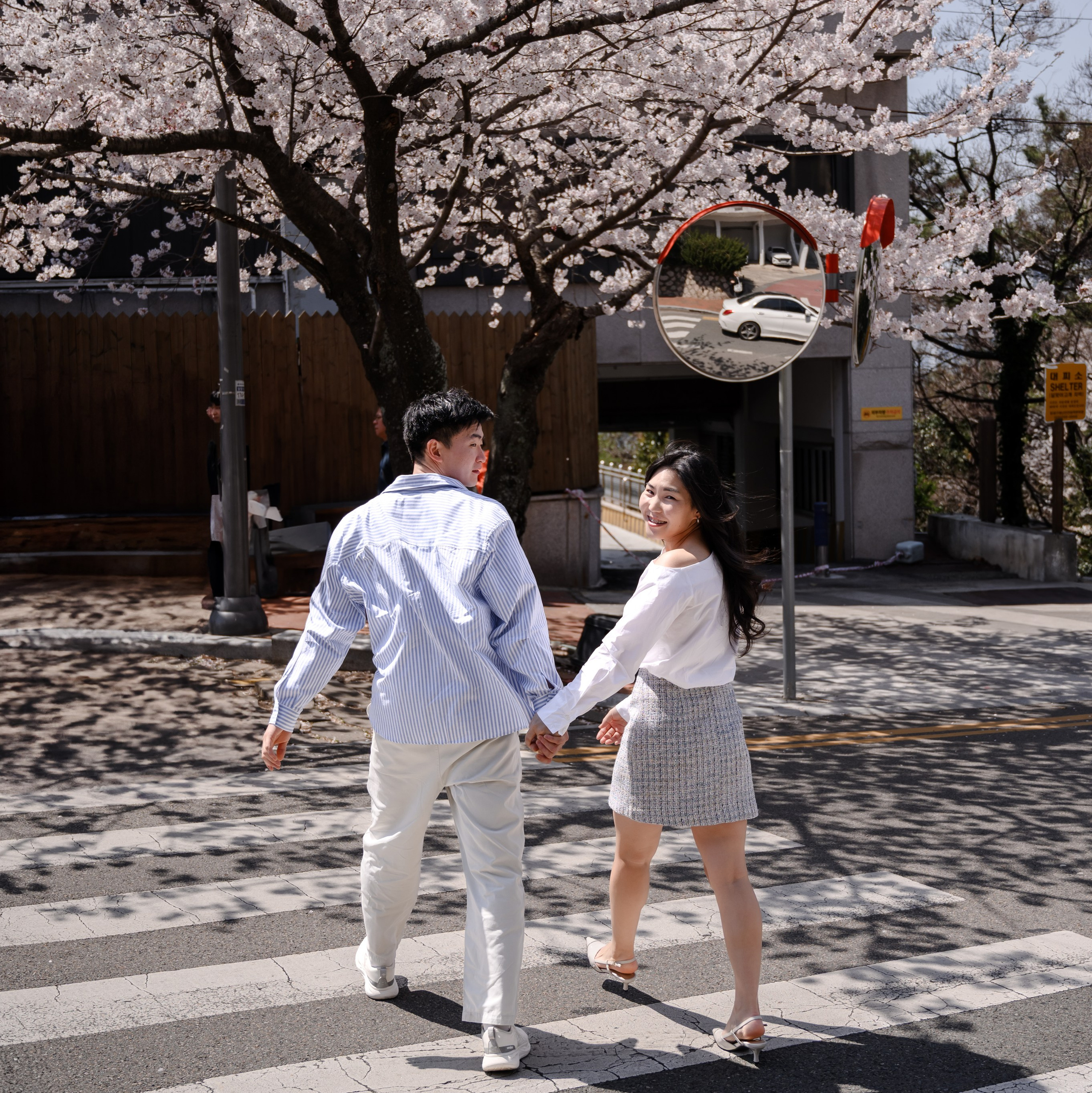 釜山の桜並木でのカップルフォト撮影