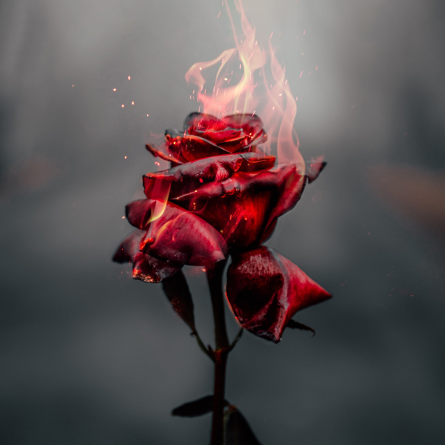 Коммерческая ретушь