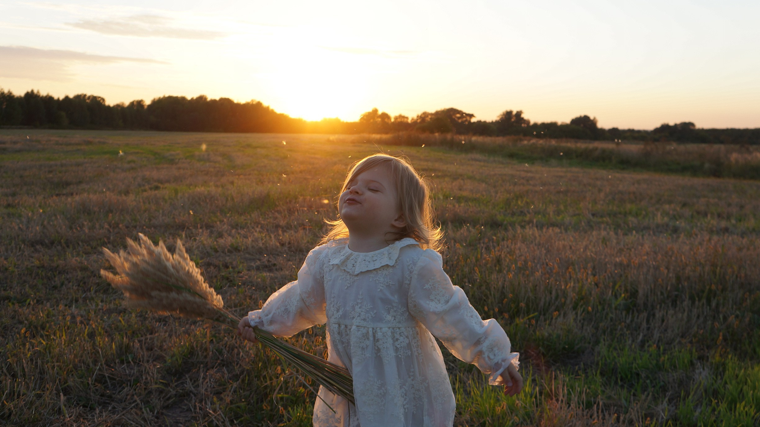 Моя фотостудия: поле, лес, море и горы… Казань — Москва — Болгария