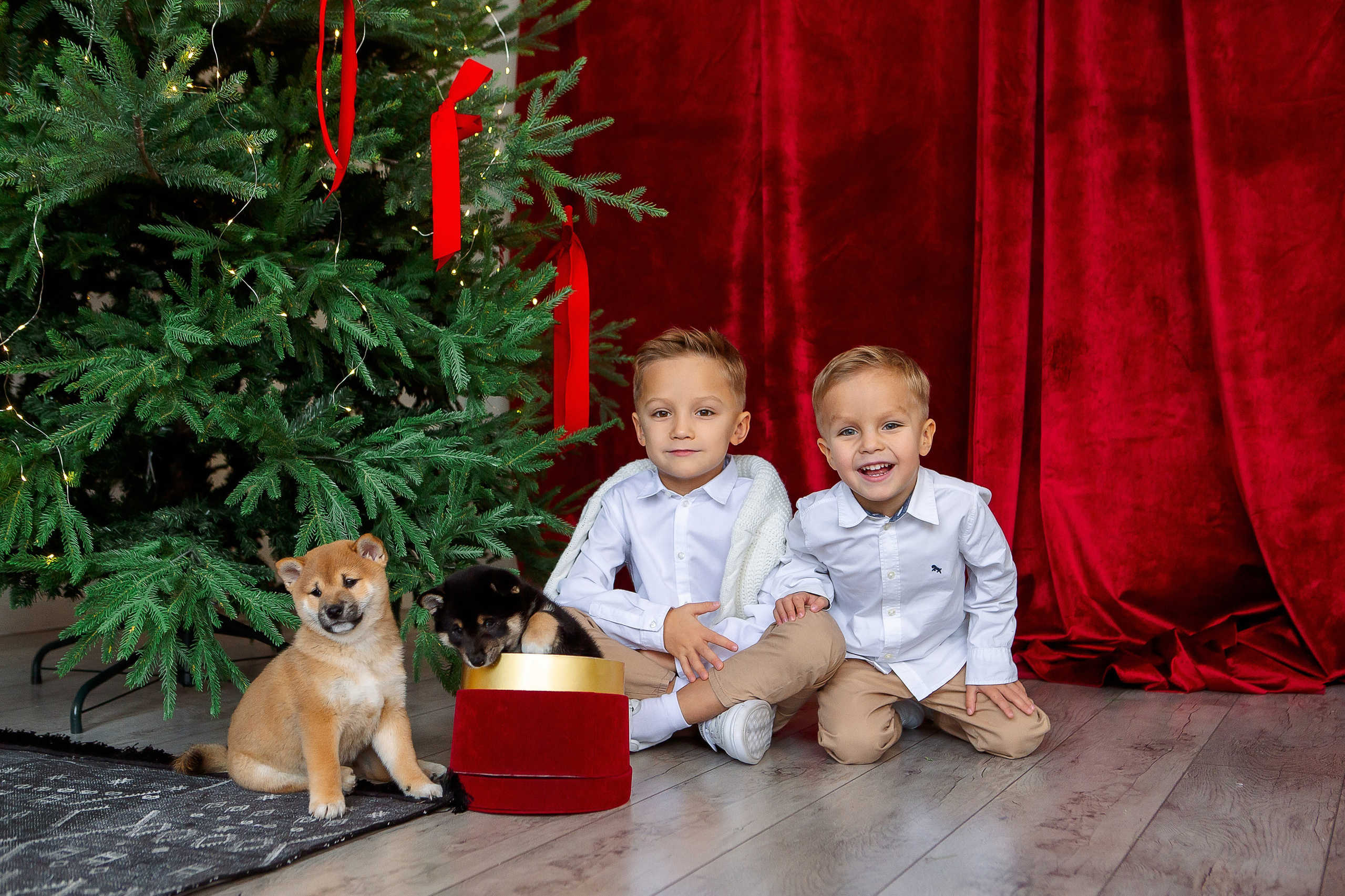 Стоимость и цены на услуги фотографа и фотосессии в Минске. Семейный детский фотограф. Фотосессия в Минске