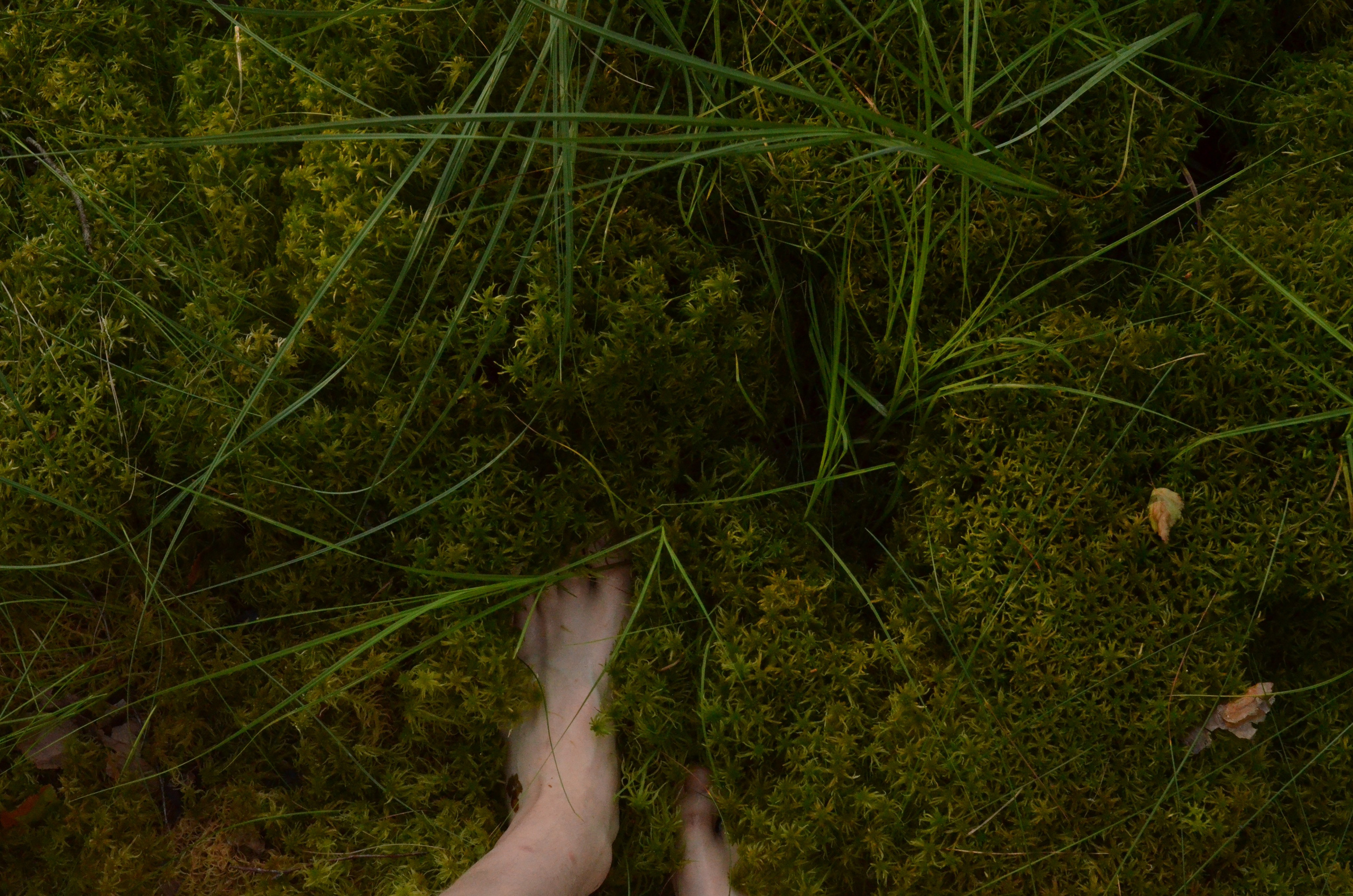 Обо мне. Фотограф СПб | Лесная фотосессия