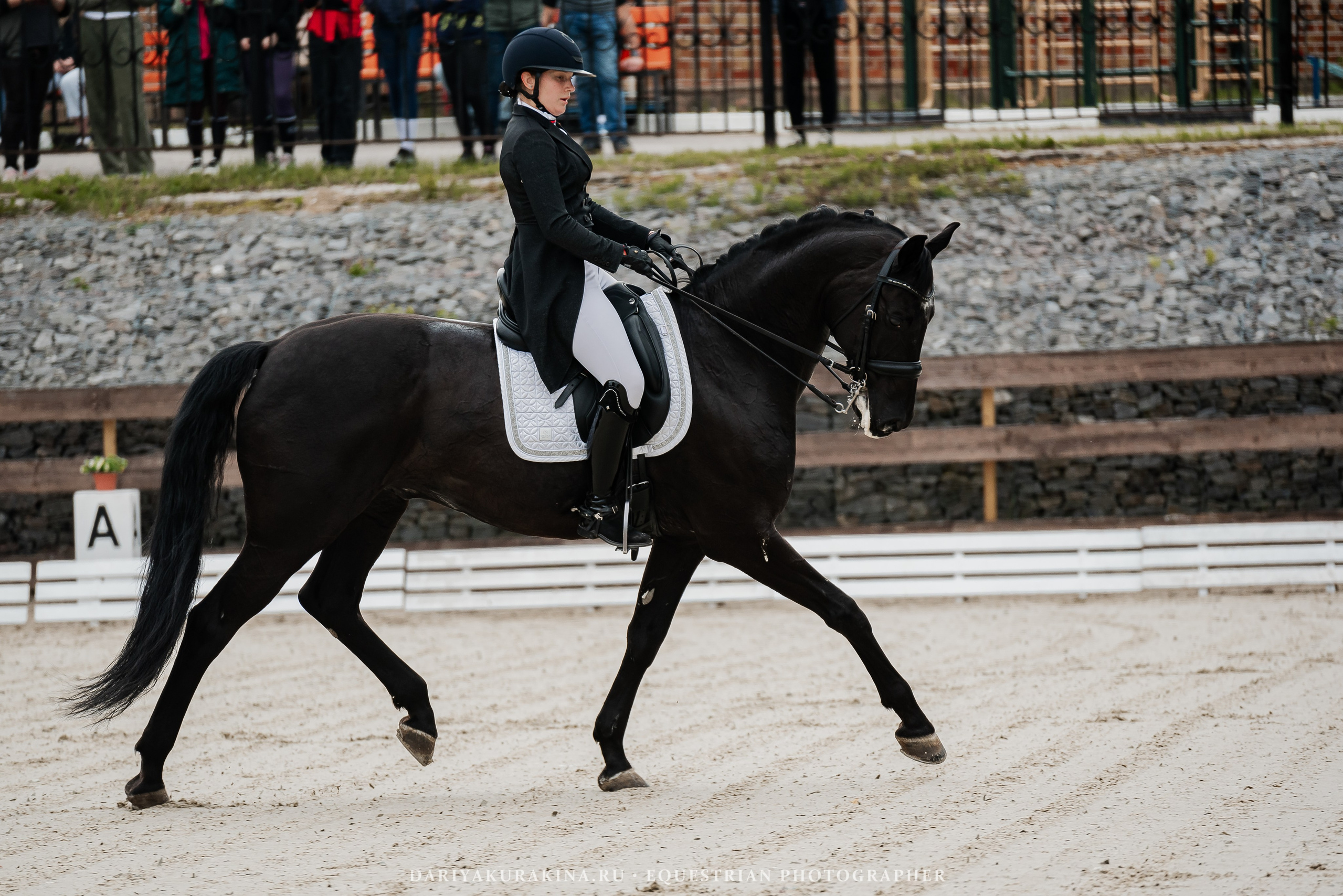 Спортивные мероприятия. Конный фотограф Куракина Дарья • Фотосессии с лошадьми