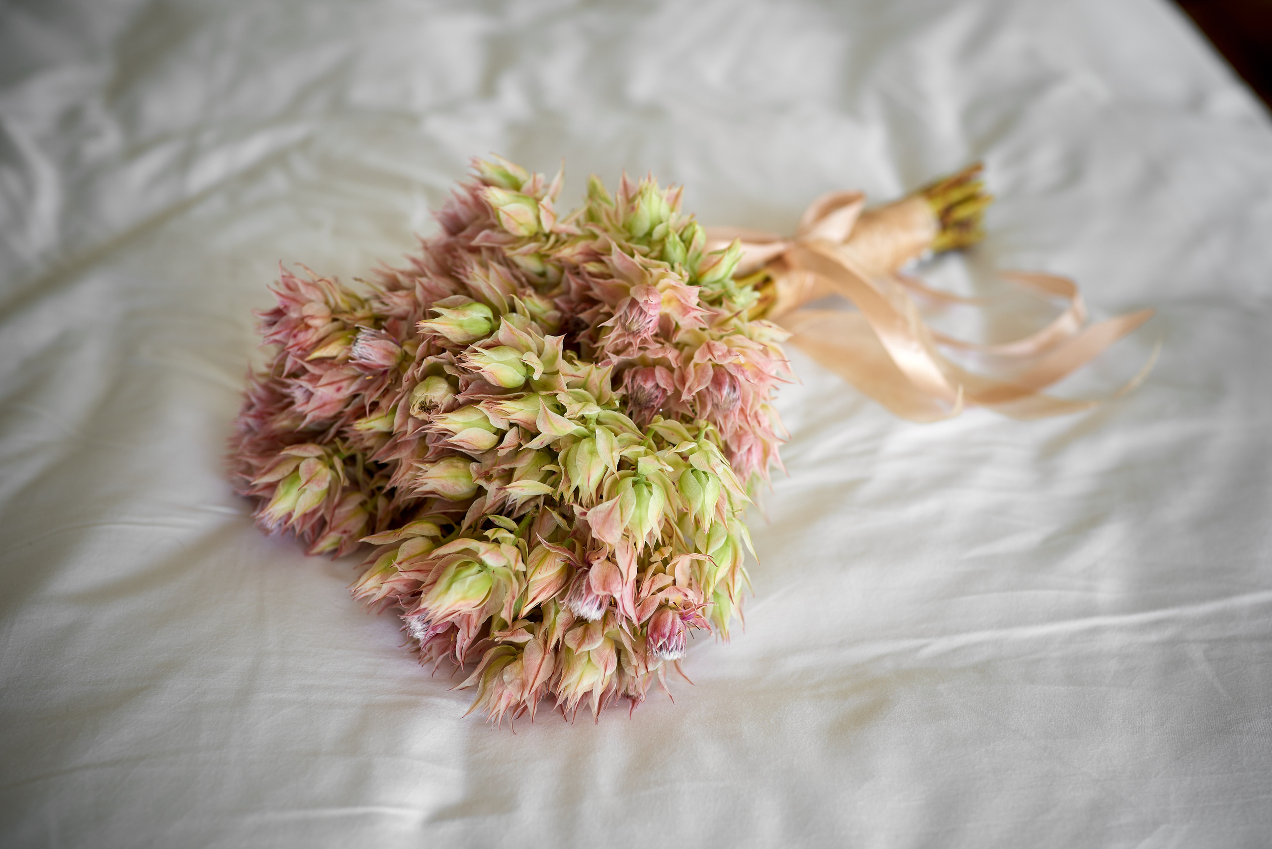 Свадебный фотограф в Москве. Фотосъёмка росписи, фото прогулка. Репортажный фотограф в Москве, Сергей Торунов