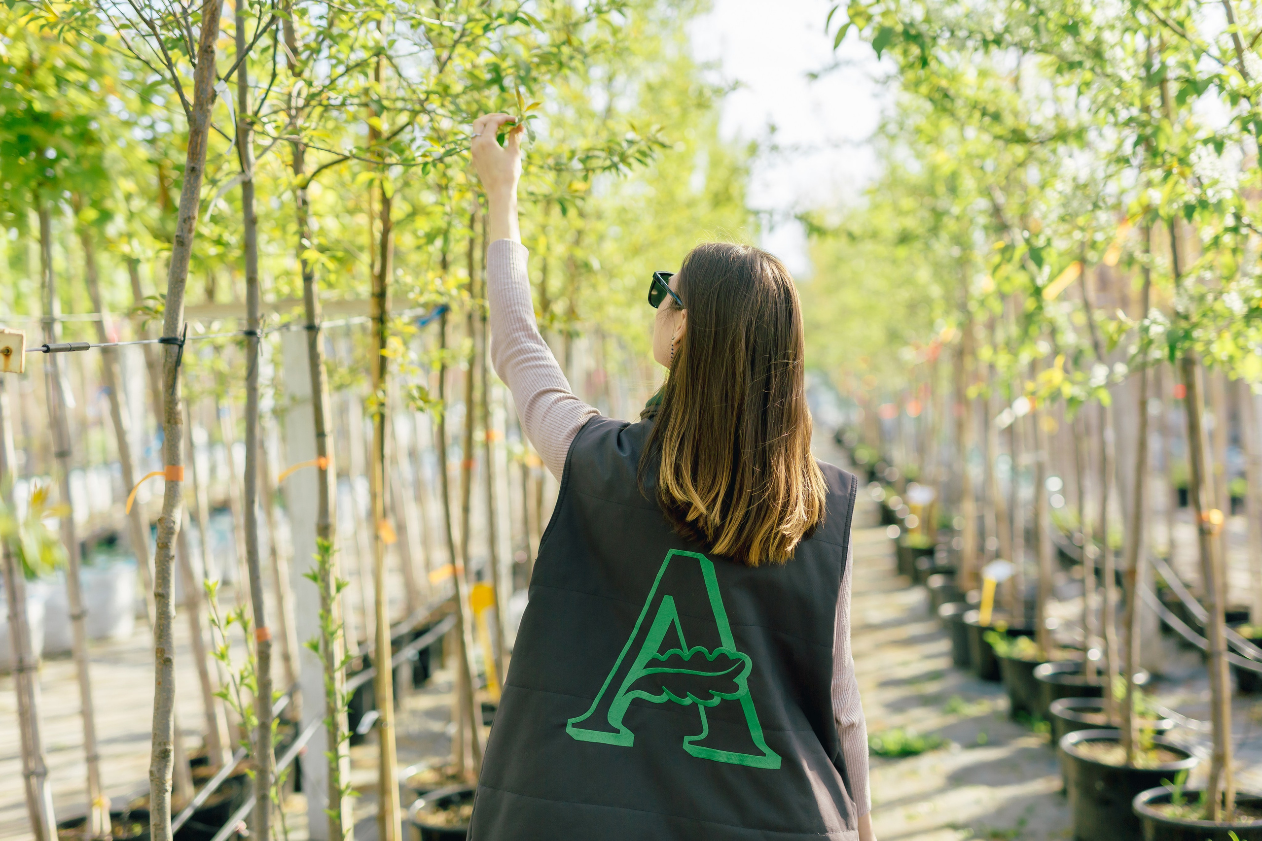 Фотосъемка для питомника растений «Алексеевская Дубрава» — кейс фотографа. Кристина Бирон — контент-креатор: Reels, фото/видео для бизнеса в СПб и Москве + AI-контент по РФ