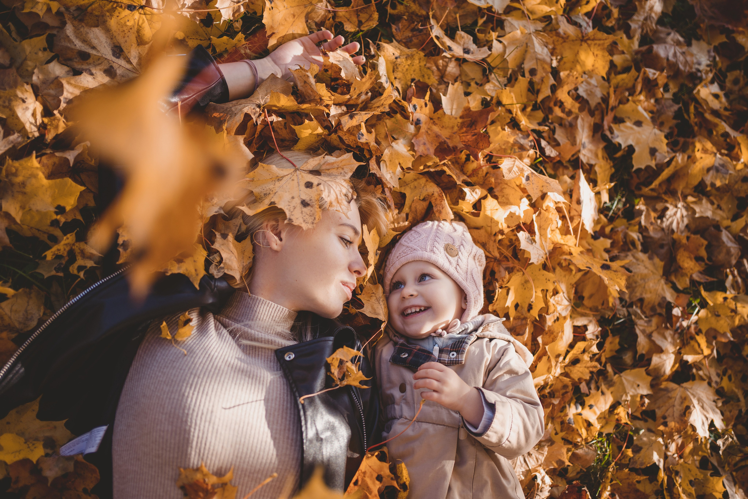 Прайс. Фотограф в Петергофе