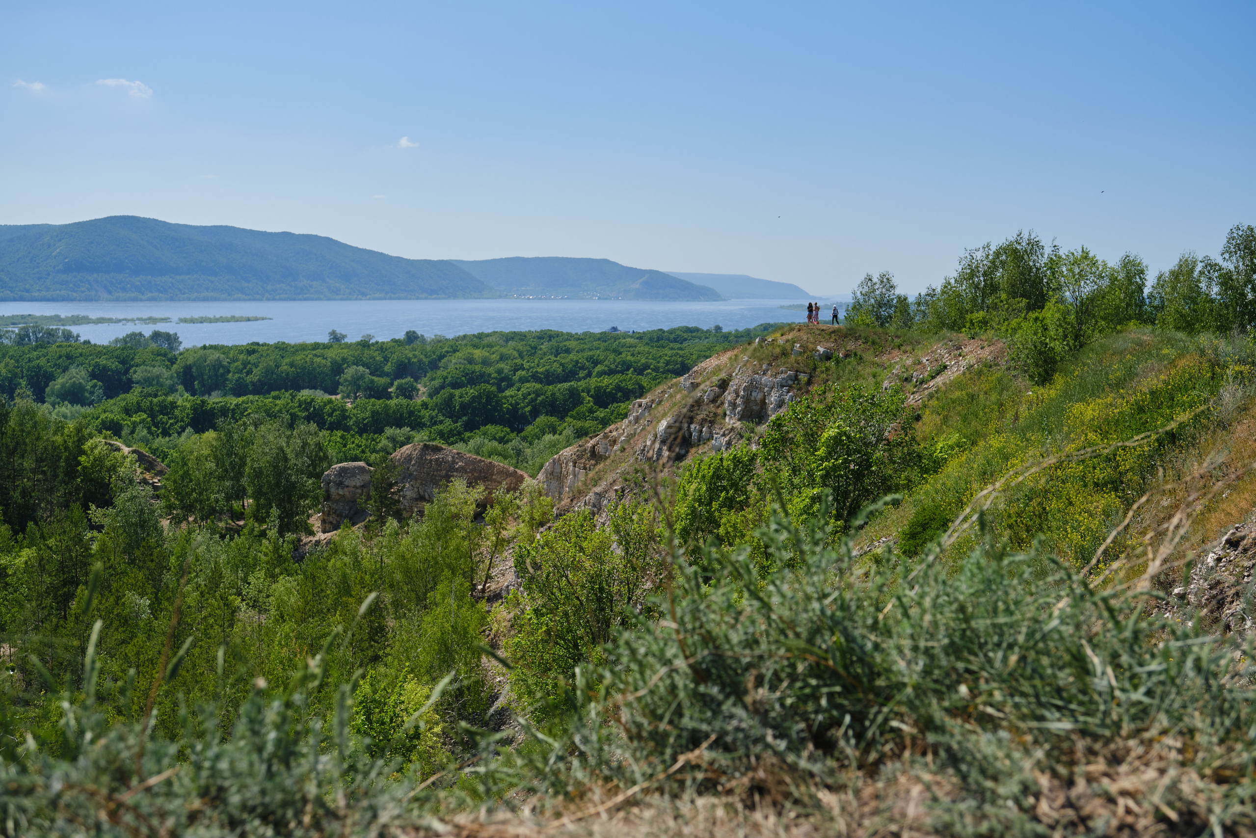 Летняя фотосессия на природе, в лесу, на улице. Семейная с детьми