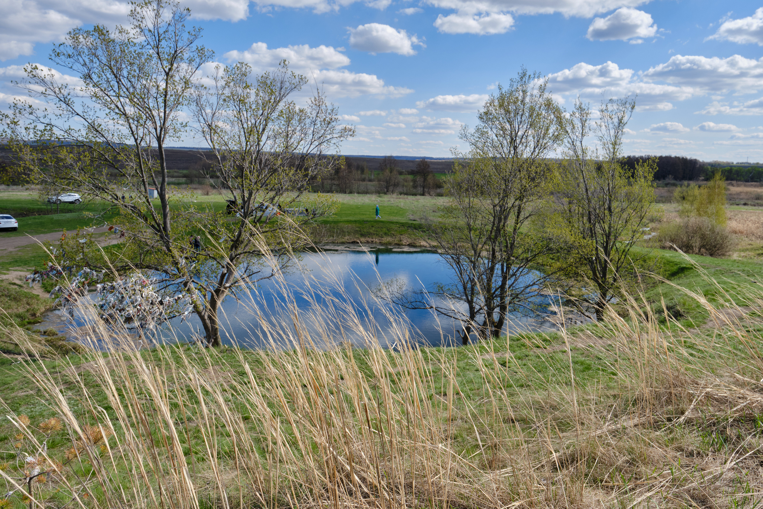 Летняя фотосессия на природе, в лесу, на улице. Семейная с детьми