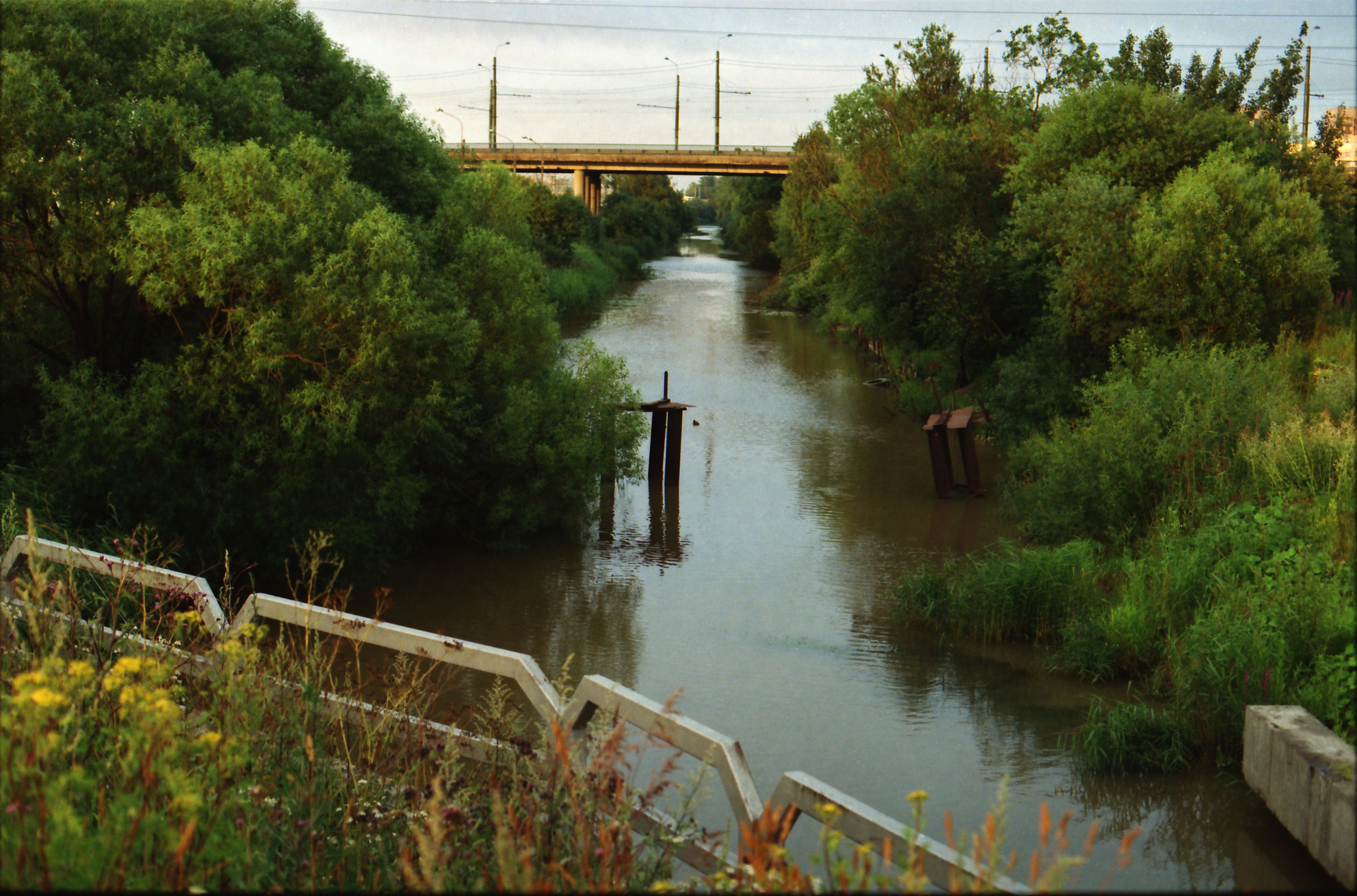 Красненькая биеннале 2023 (СПБ)