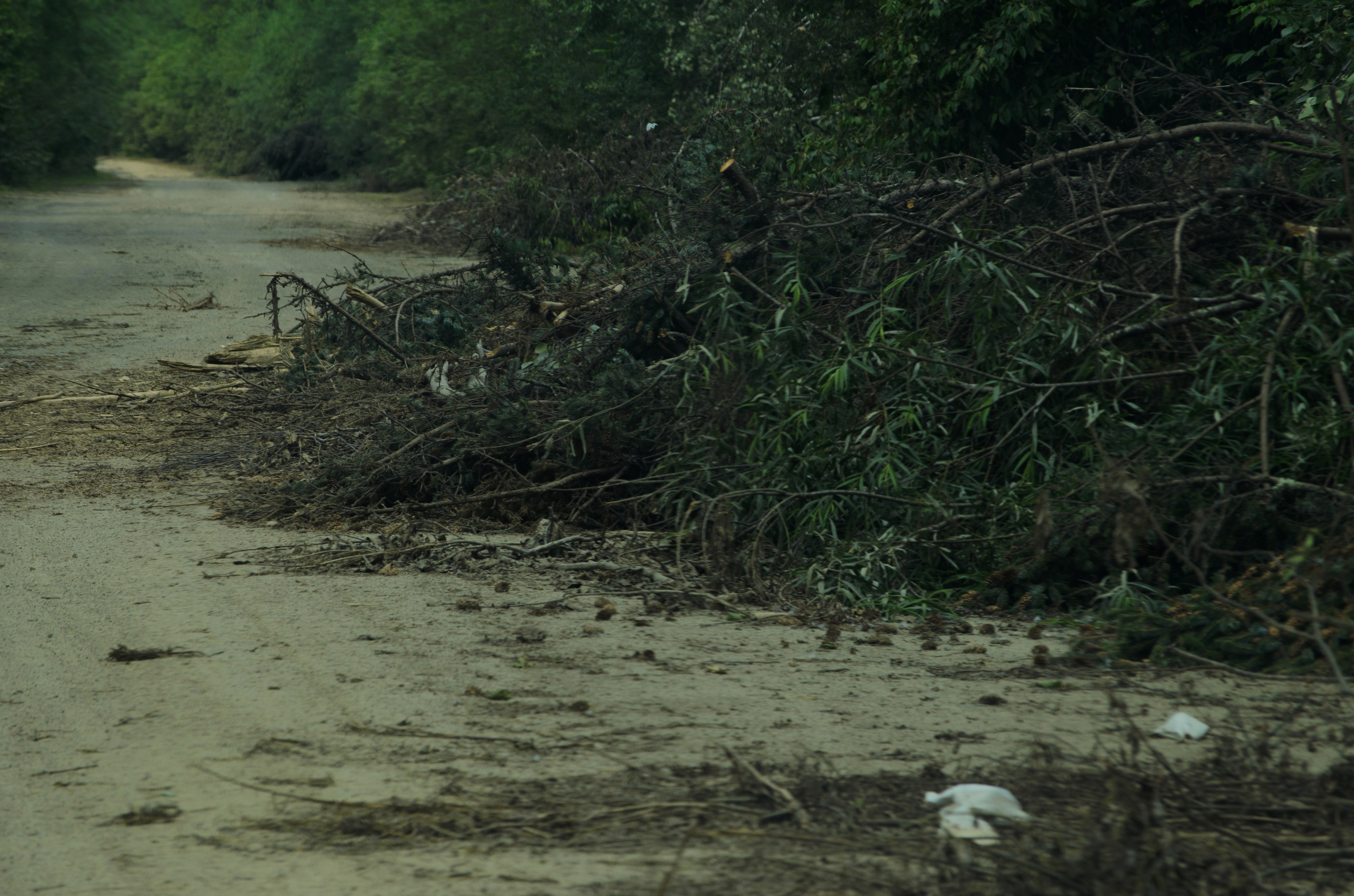 Удэгейша. Колентеева Наталья/фотограф