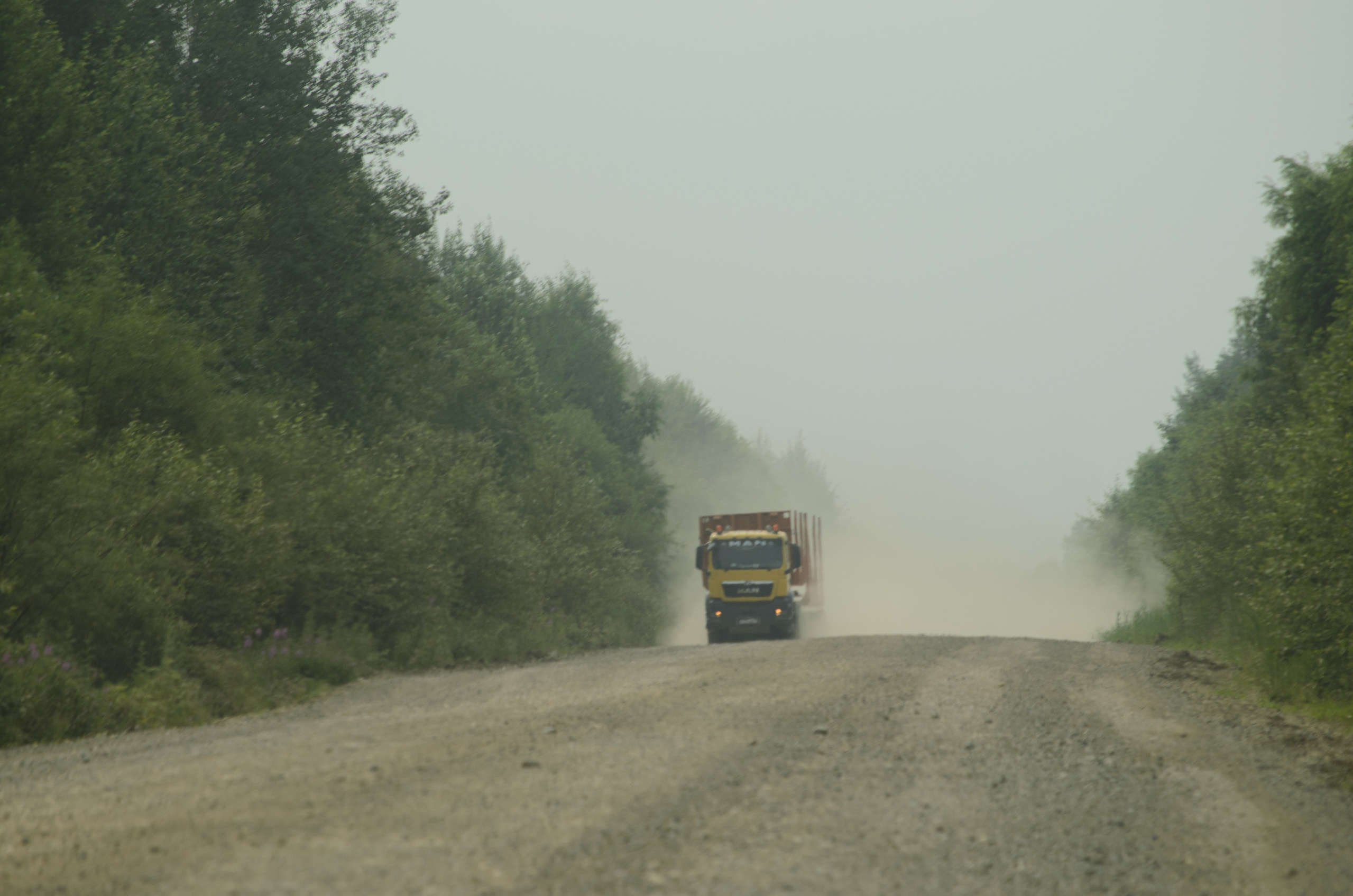 Удэгейша. Колентеева Наталья/фотограф