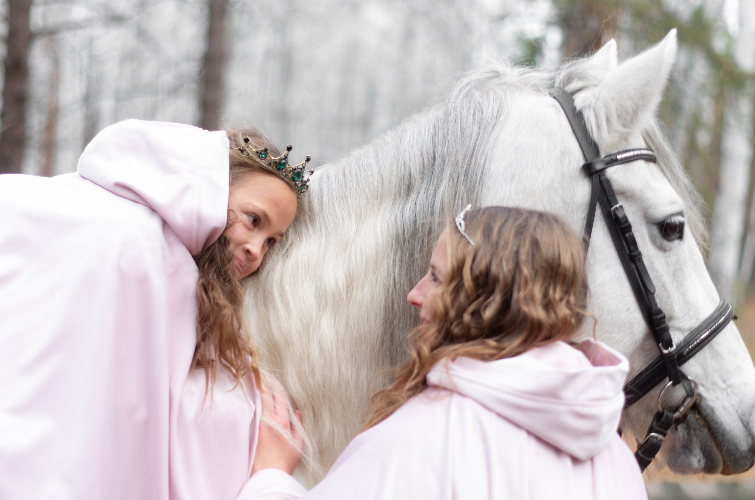 Услуги и цены. Фотограф Марина Доглядная Челябинск фотосессии с лошадьми, мотоциклами