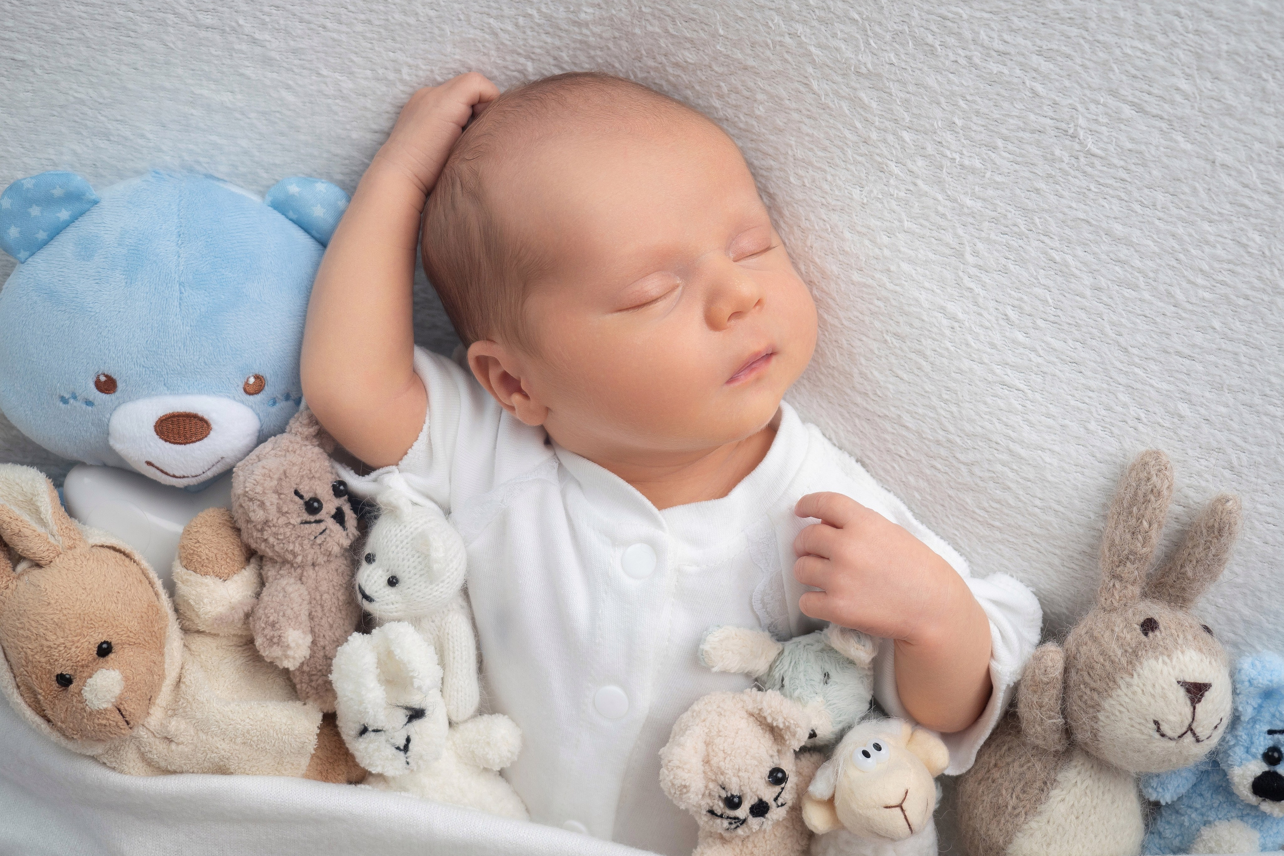 Стоимость (1). Алёна Орлова Портретный фотограф Москва