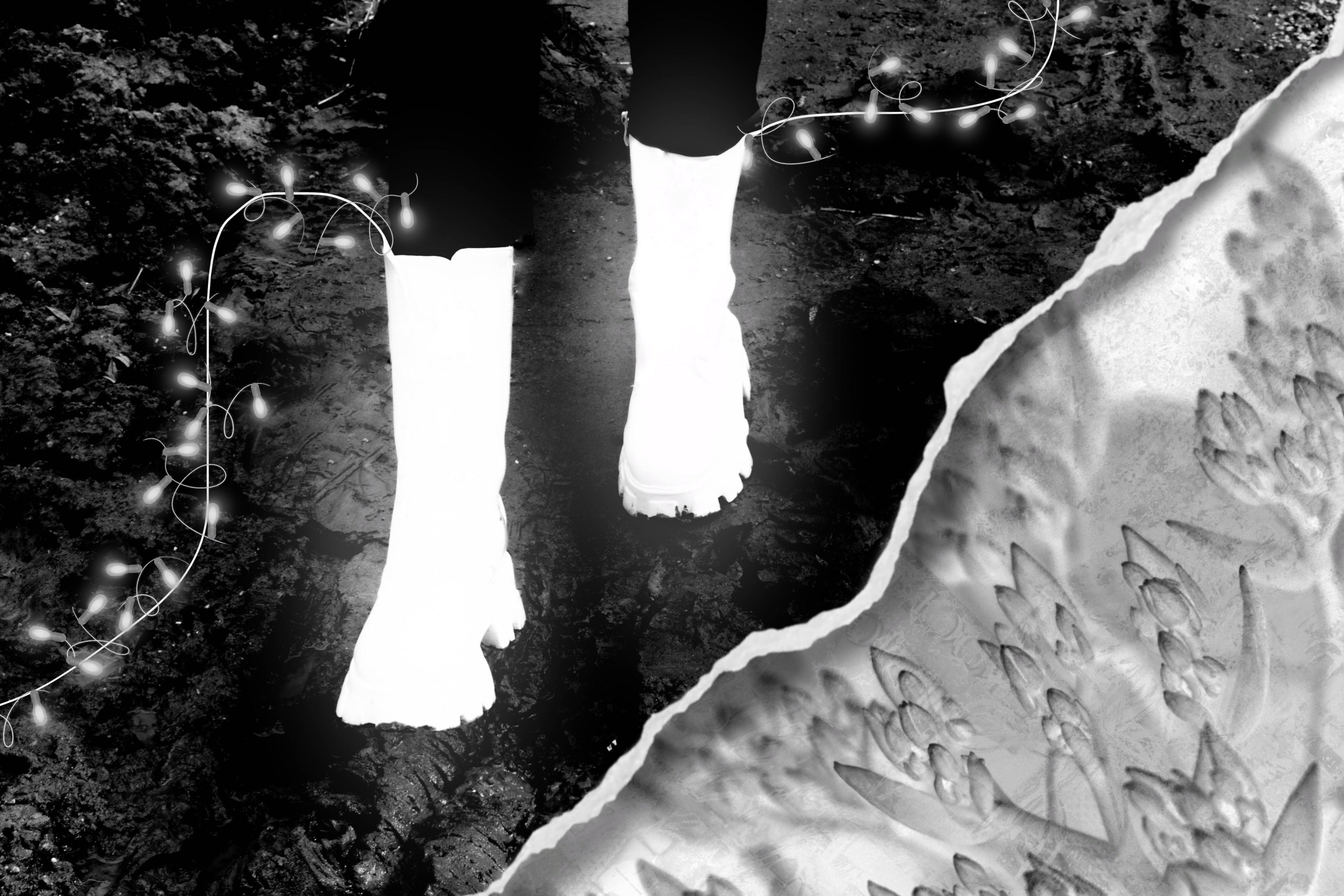 Творческое портфолио