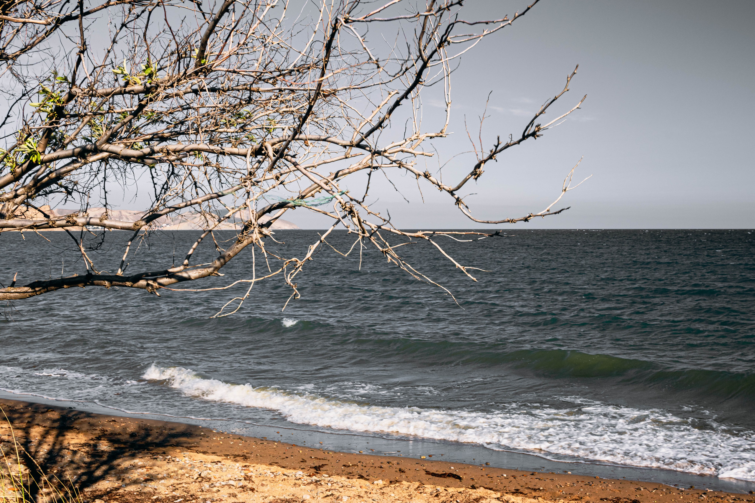 Оферта. Виктория Князева| фотограф из Санкт-Петербурга