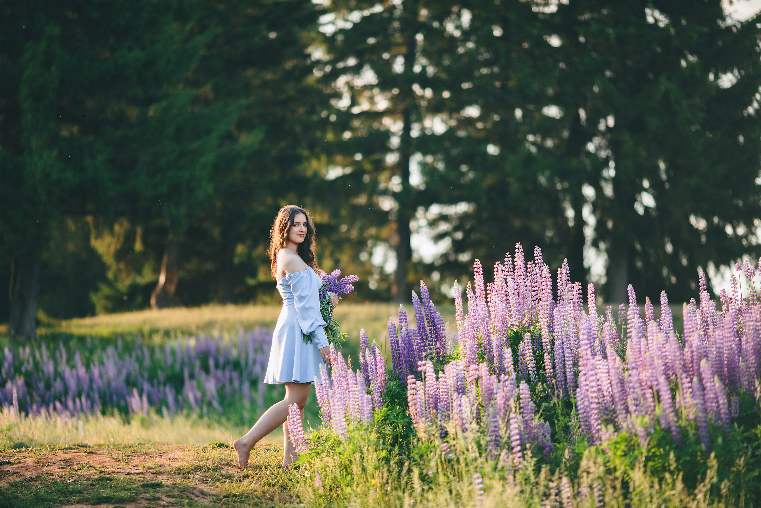 Индивидуальная фотосессия в люпиновом поле за Ижевском. Дима Никитин свадебный и семейный фотограф в Ижевске и Удмуртии с 2007 года