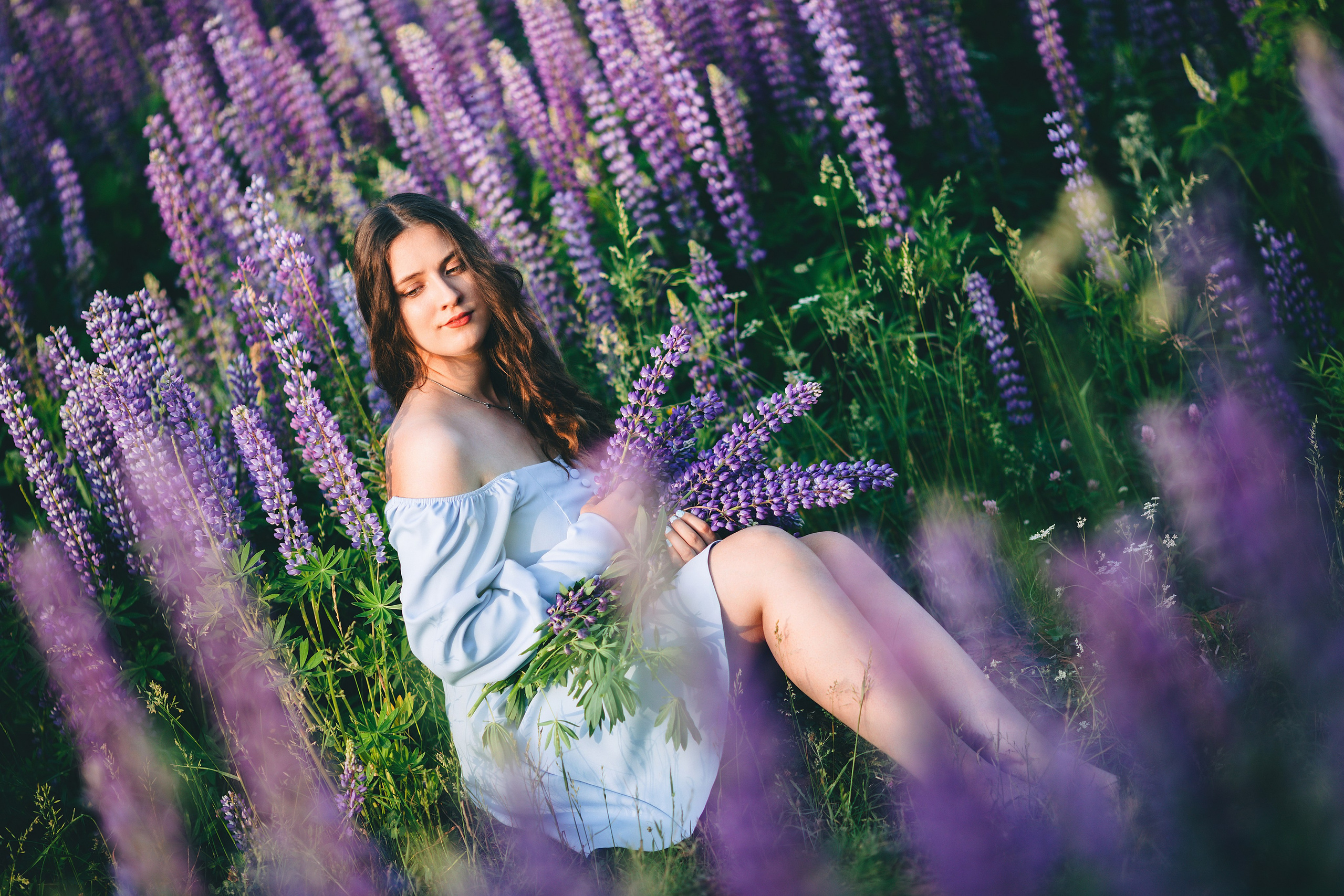 Индивидуальная фотосессия в люпиновом поле за Ижевском. Дима Никитин свадебный и семейный фотограф в Ижевске и Удмуртии с 2007 года