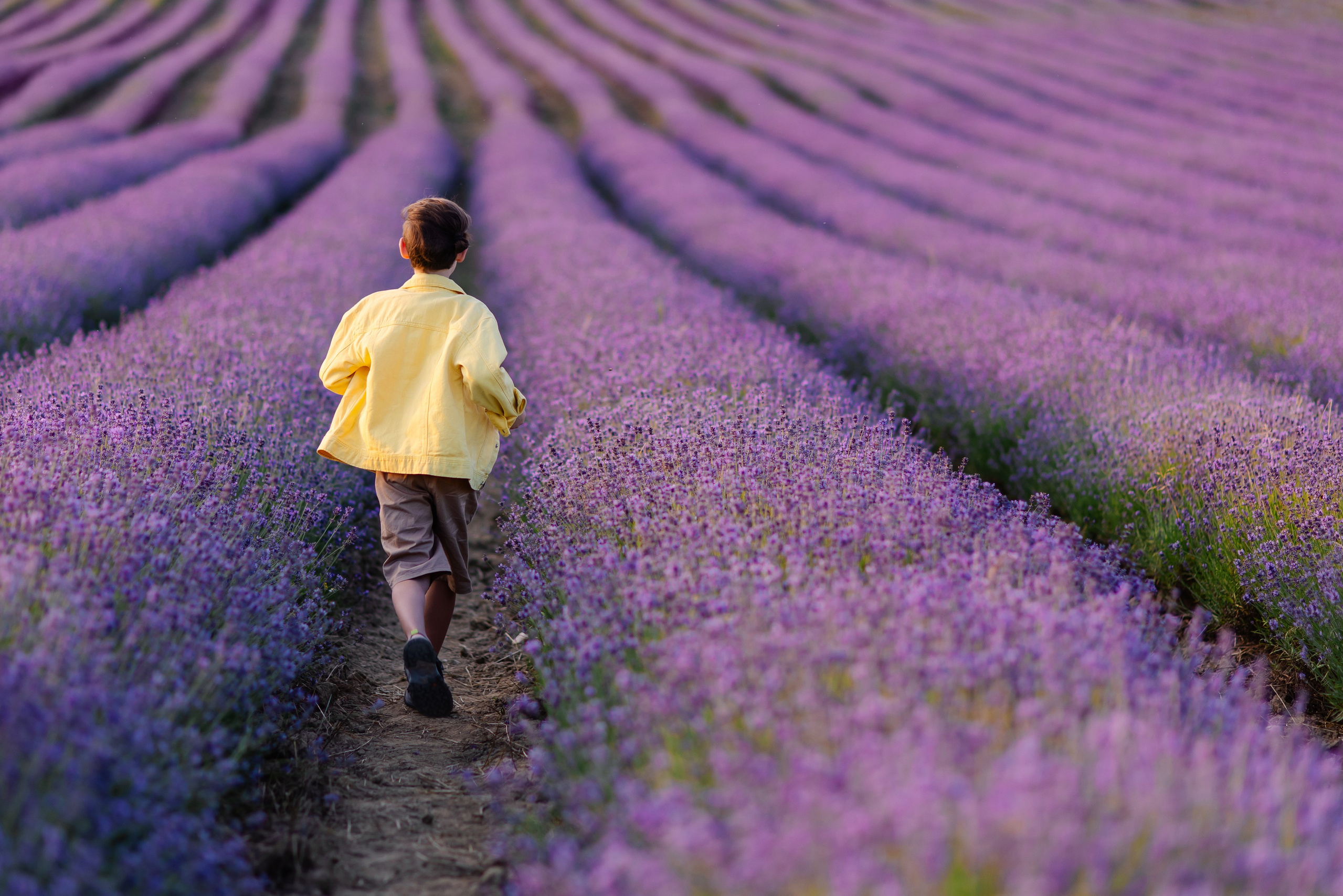 Fotoshooting im Lavendelfeld bei München – Familien-, Paar- & Babybauchfotos. Fotografin in München Dasha Antipina