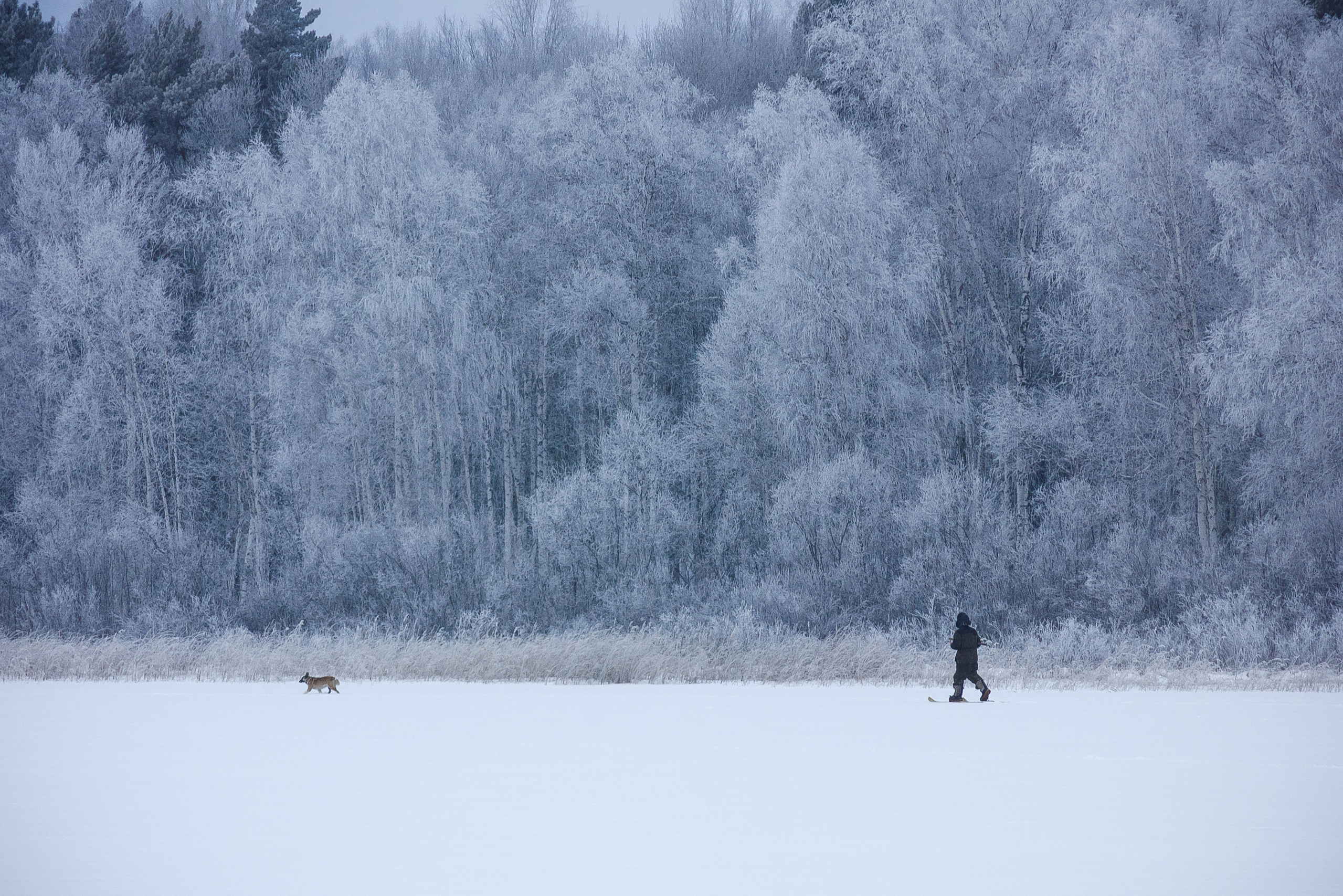 Елена Лаврик. ARTEXPOPHOTO