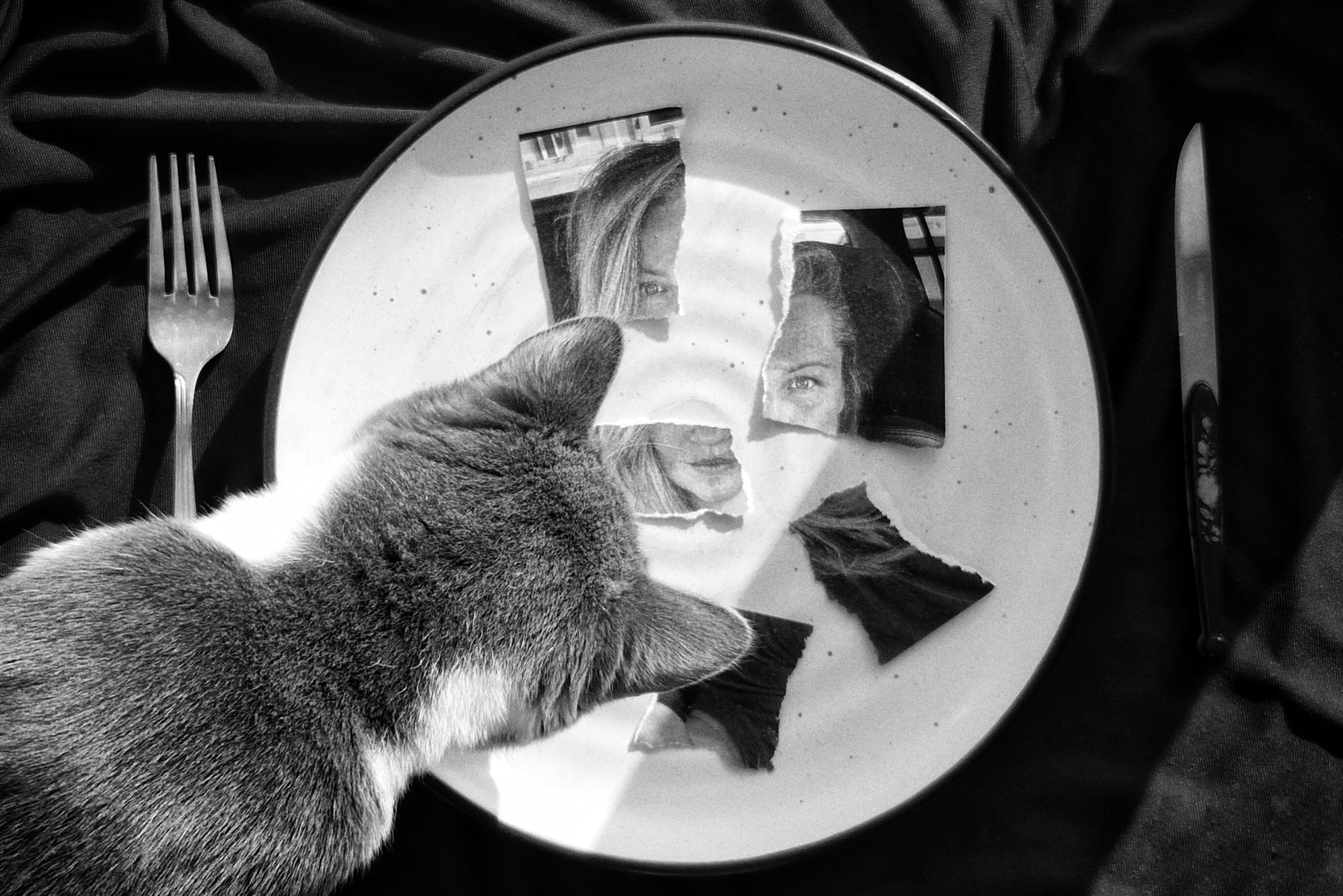 Ревина Ольга. ARTEXPOPHOTO