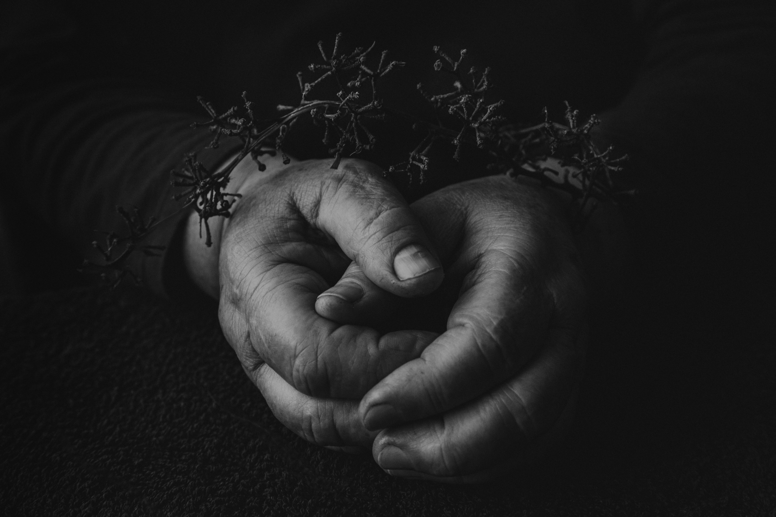 Переверзева Олеся. ARTEXPOPHOTO