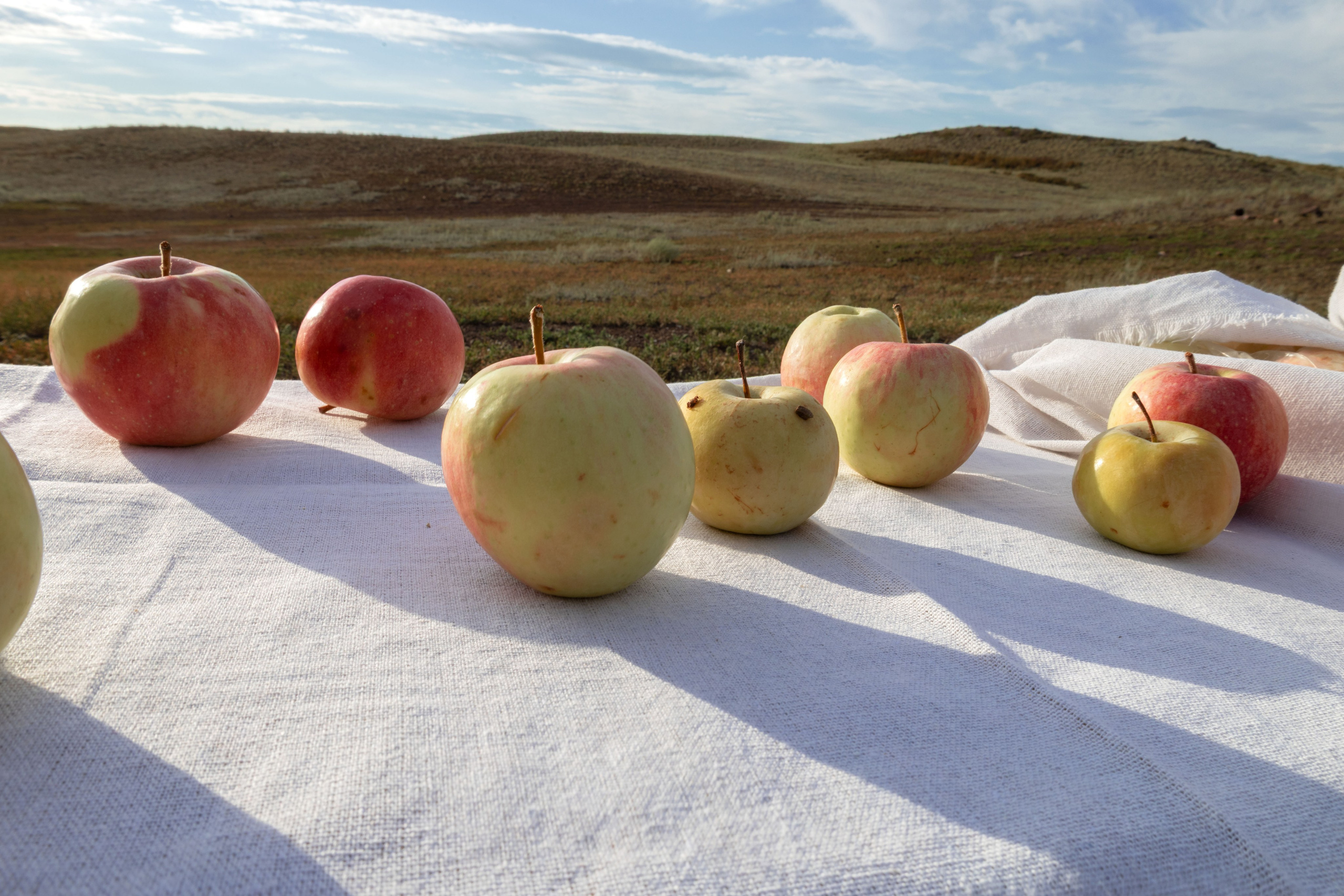 Громова Светлана. ARTEXPOPHOTO