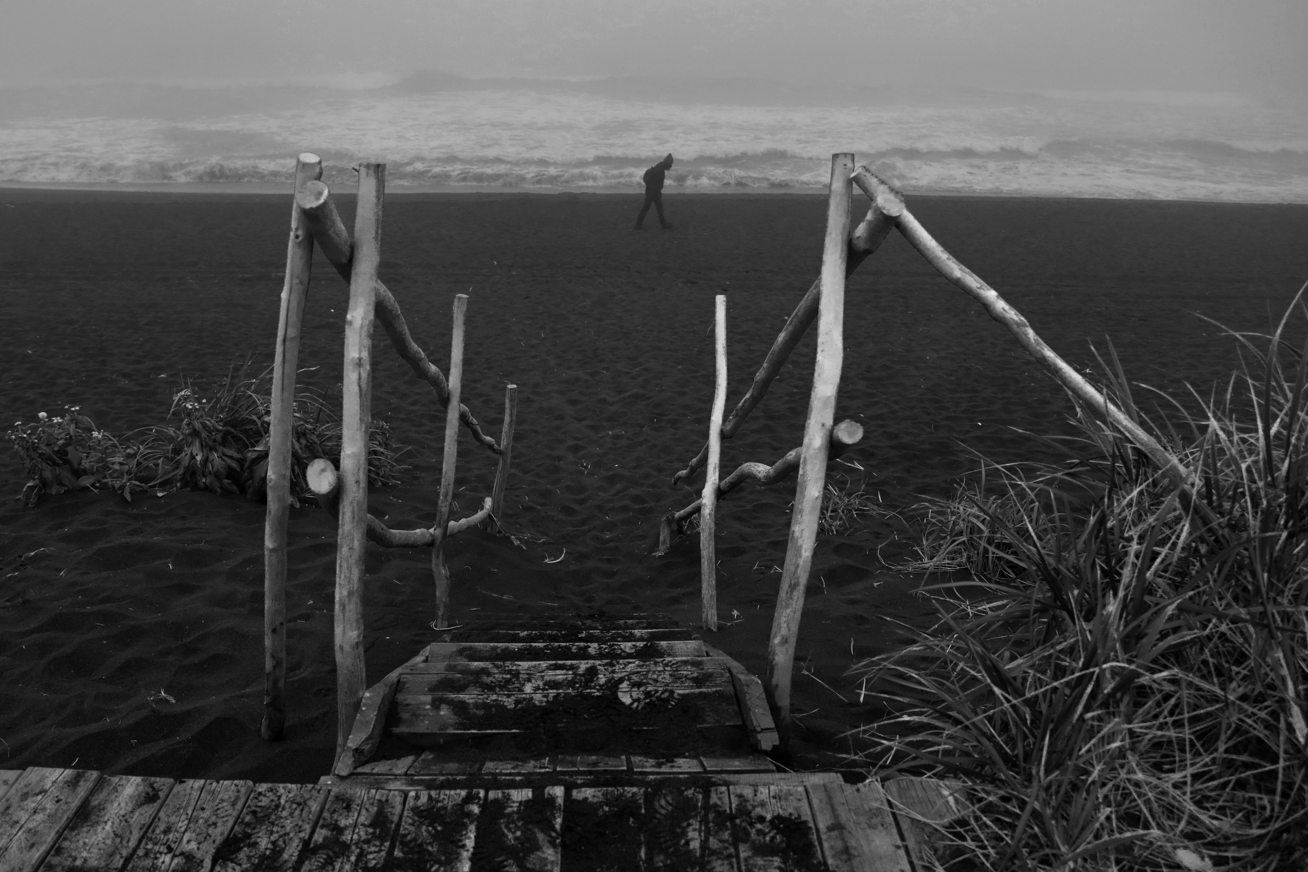 Купить фотографии. E-Tsoy.com