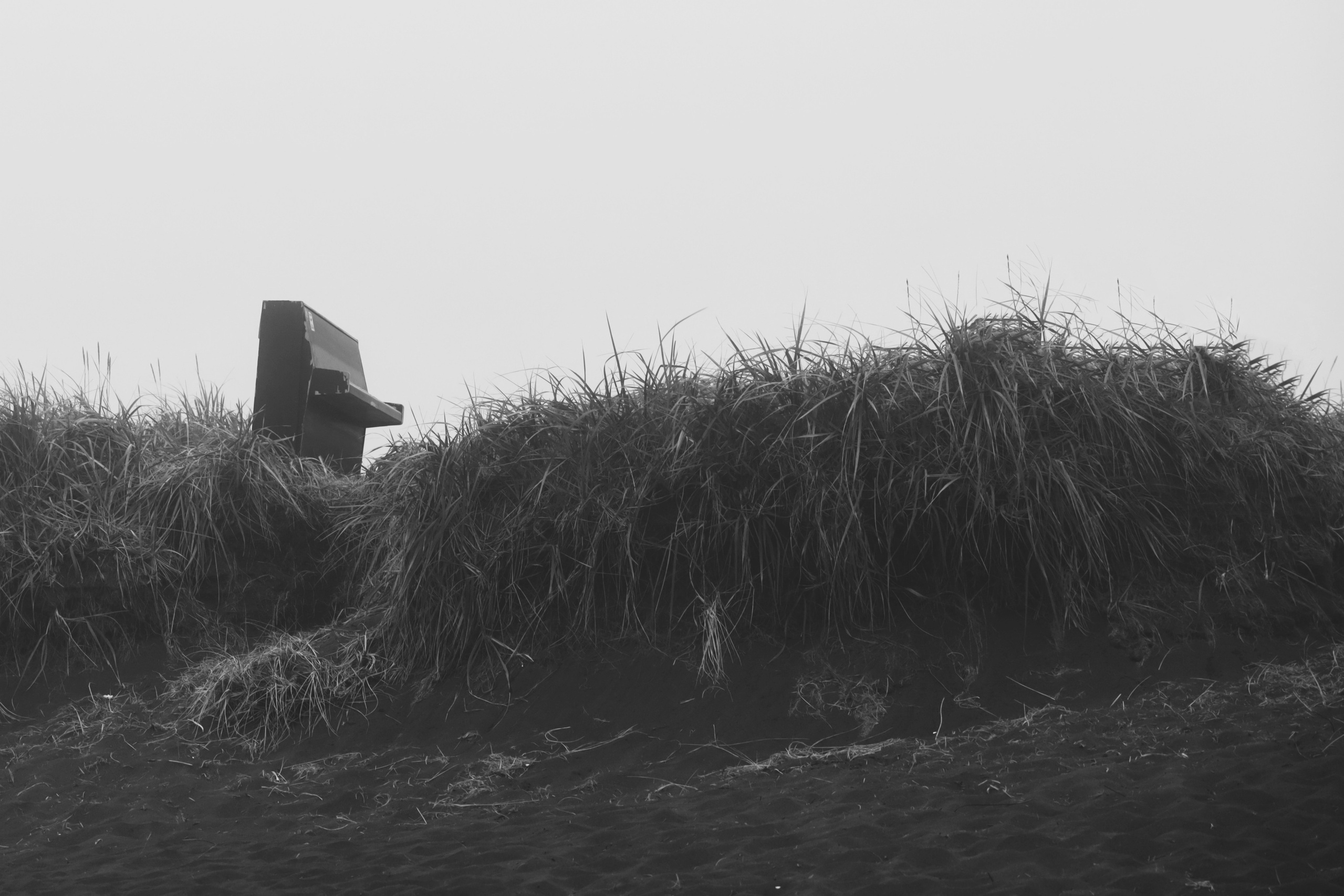 Купить фотографии. E-Tsoy.com