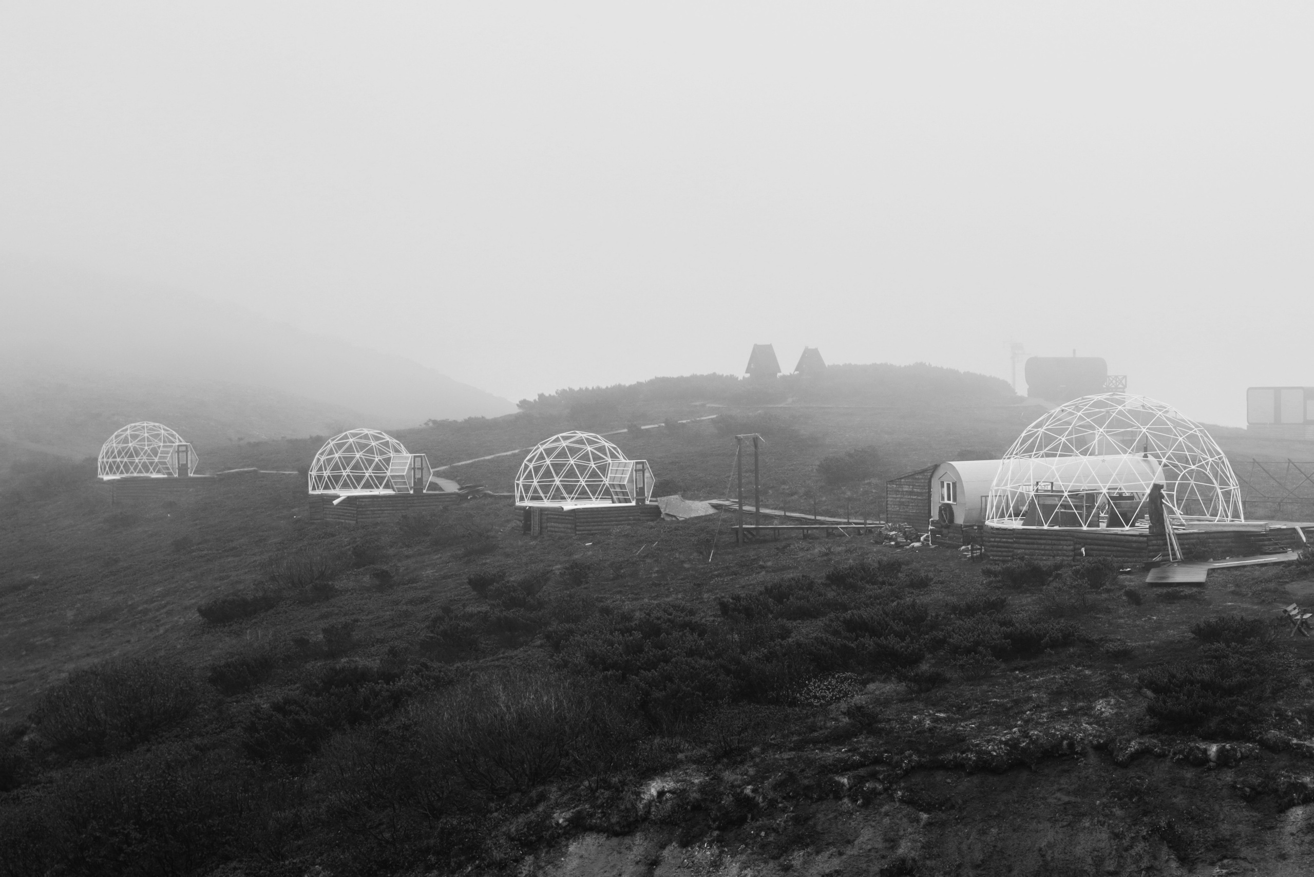 Купить фотографии. E-Tsoy.com