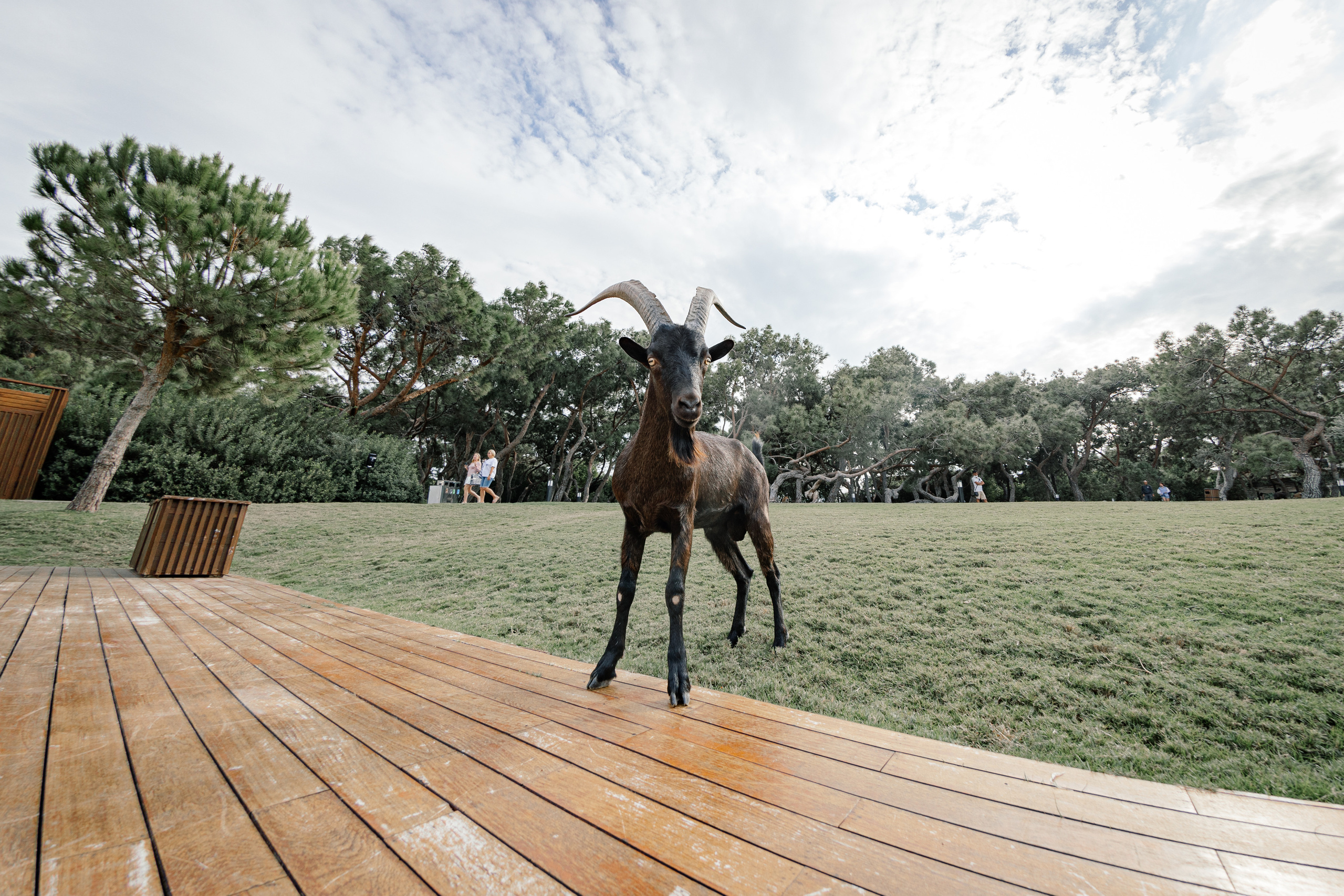 Обзор самого дорогого отеля в Турции «Maxx Royal Kemer Resort». Ева Демидова. Спортсмен по конкуру в Санкт-Петербуре