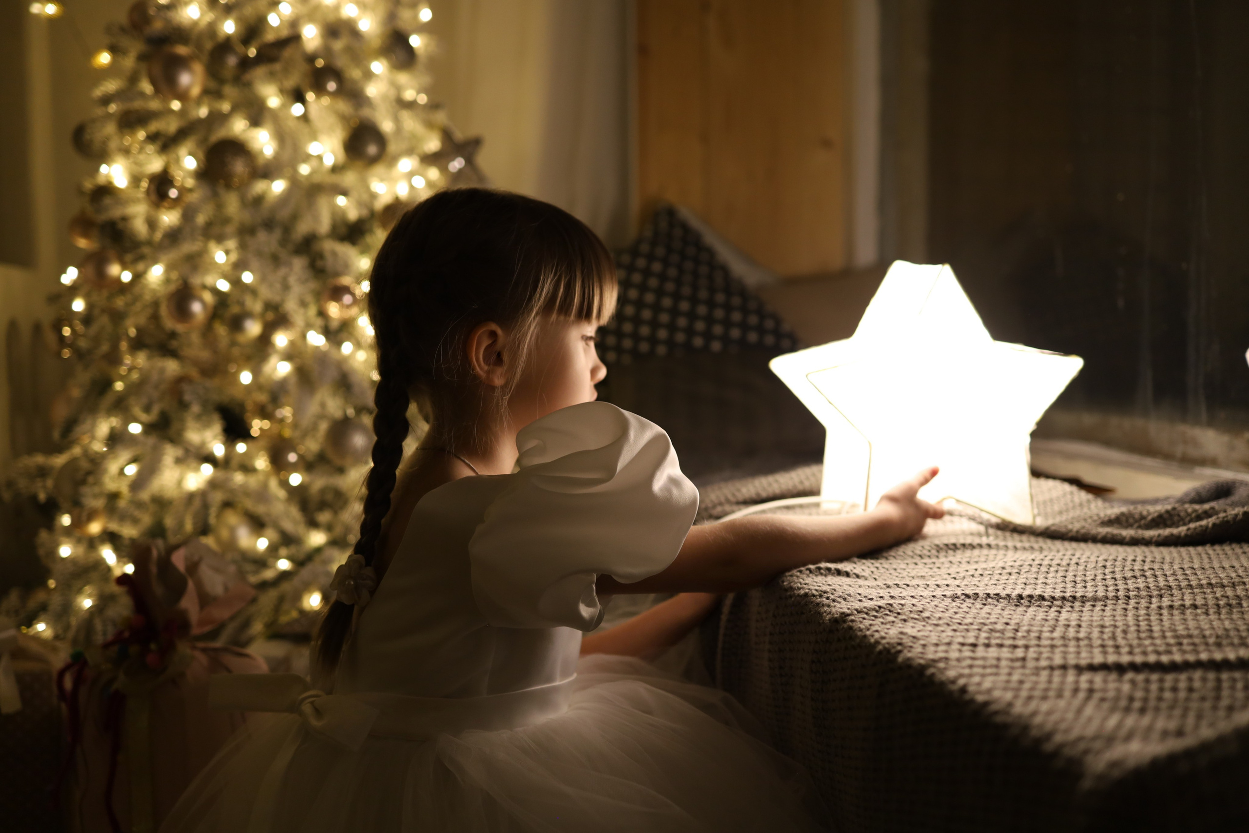 Новый Год 2026. Фотограф в Туле Аушева Юлия