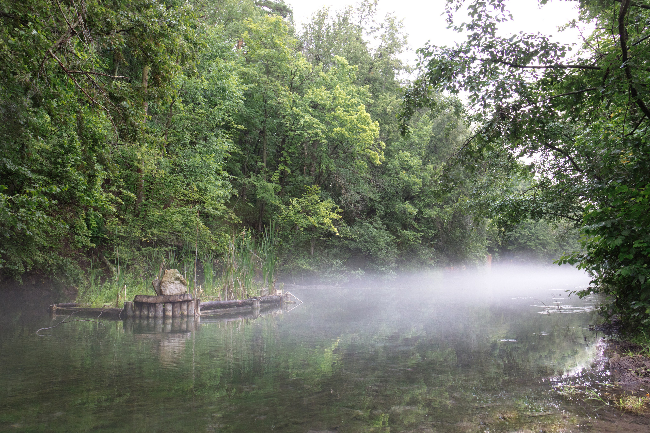 Фото (Пейзаж). Фото и видео съемка в Москве: Одежда, обувь и аксессуары; Еда и продукты питания; Мототехника; Электро и бензо инструменты; Бытовая техника