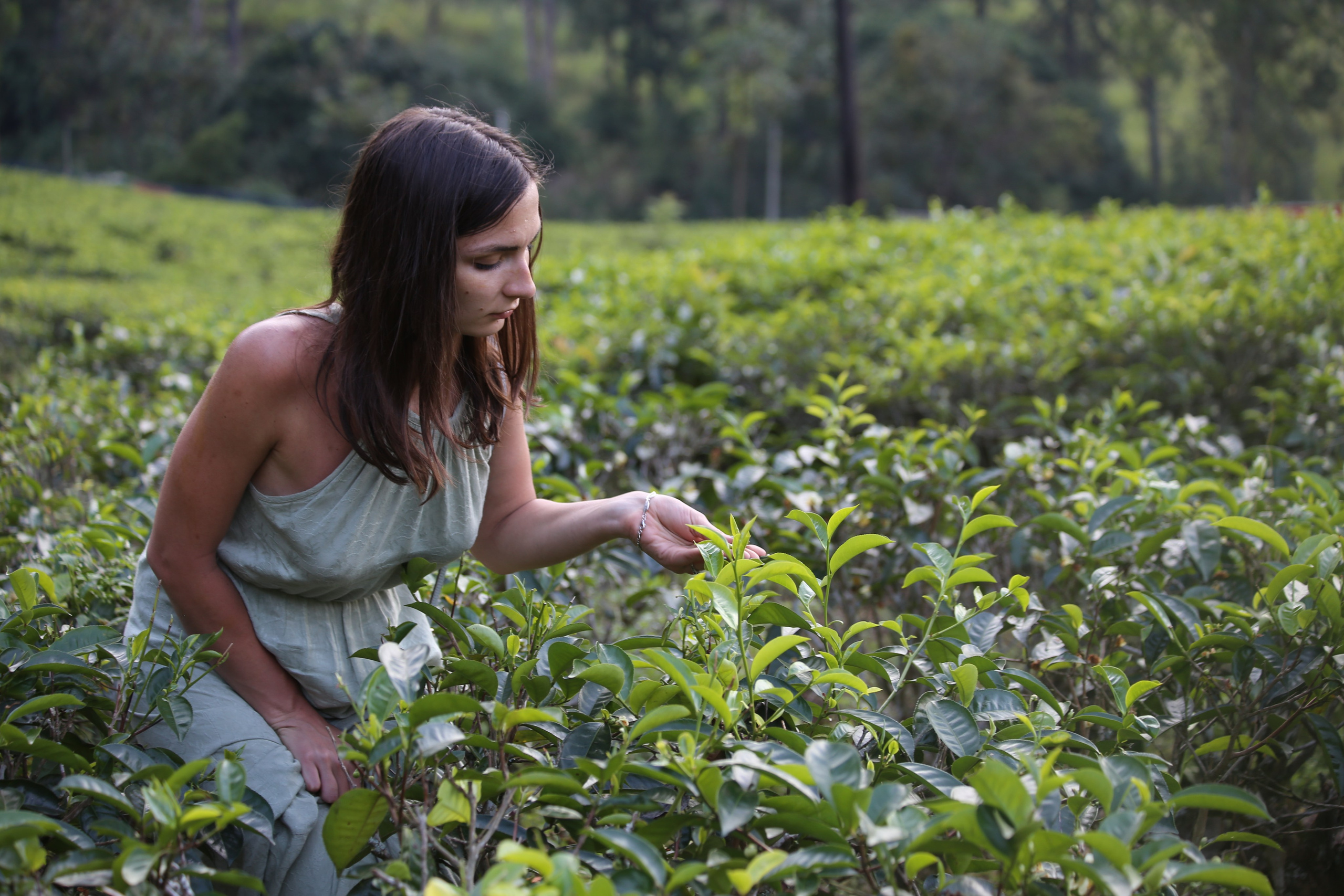 2017 — Шри — Ланка. OneSnap