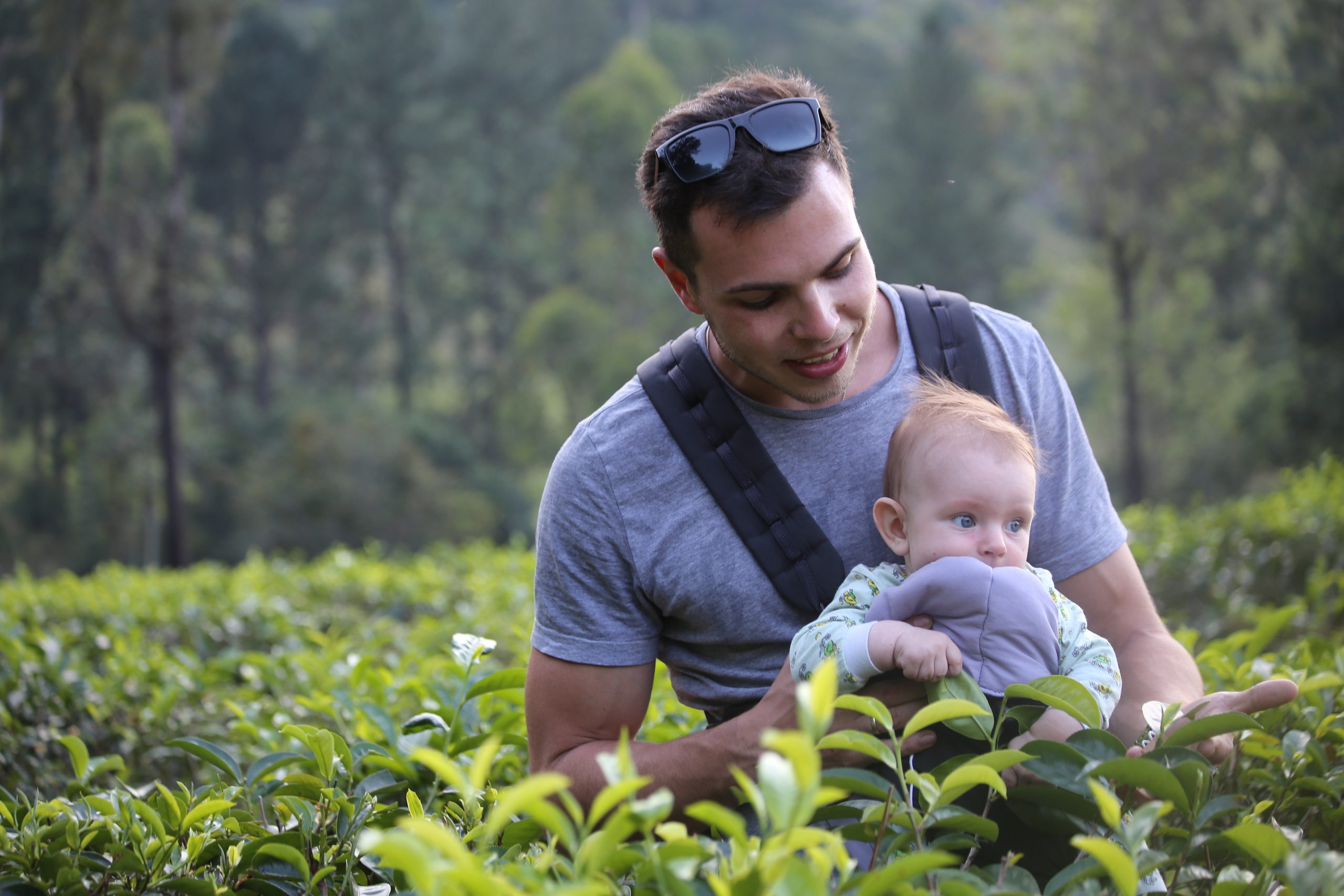 2017 — Шри — Ланка. OneSnap