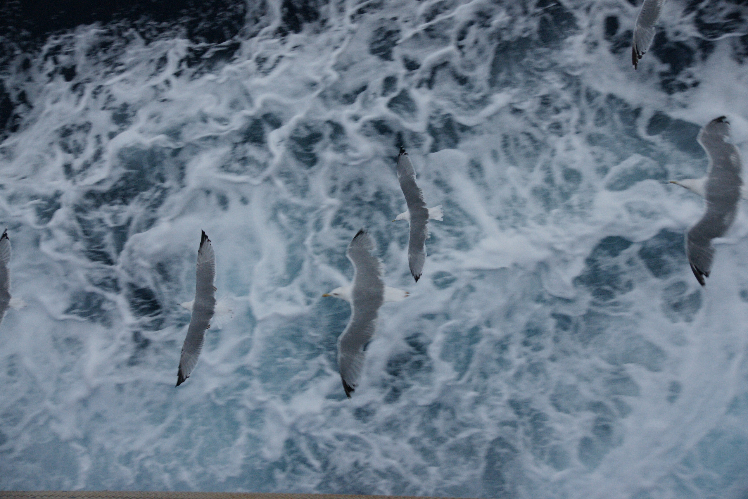 2012 — Греция. OneSnap